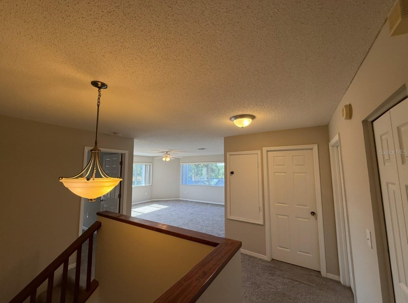 12919 BRANT TREE DR, RIVERVIEW, FL, 33579