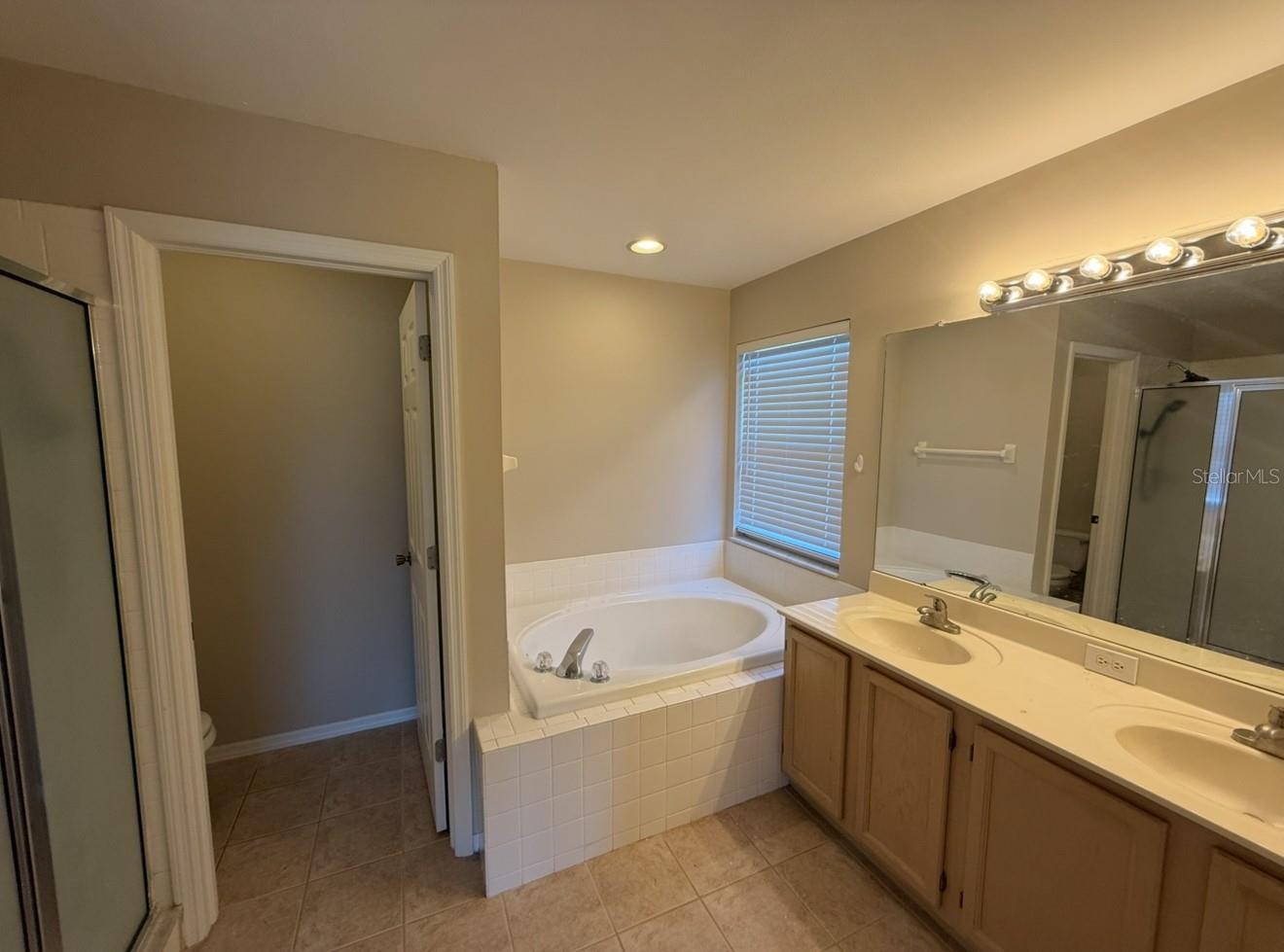 12919 BRANT TREE DR, RIVERVIEW, FL, 33579