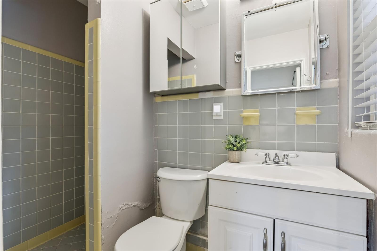 1310 ARLINGTON ST, ORLANDO, FL, 32805