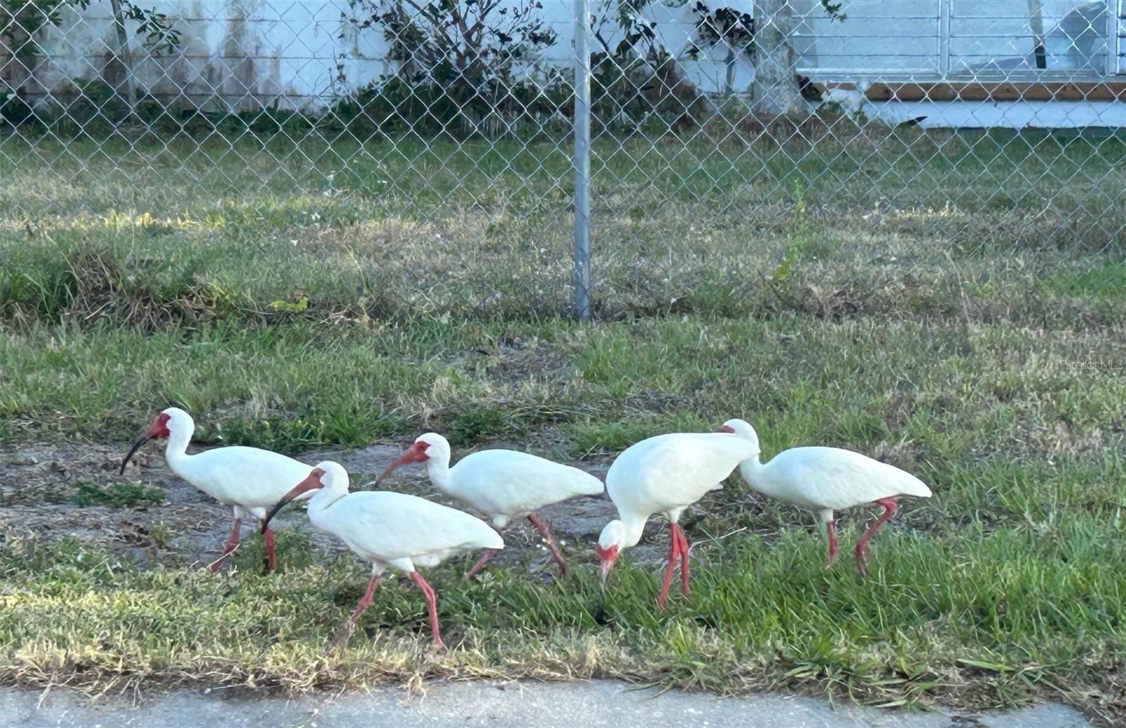 123 POINSETTIA CIR NE, PORT CHARLOTTE, FL, 33952