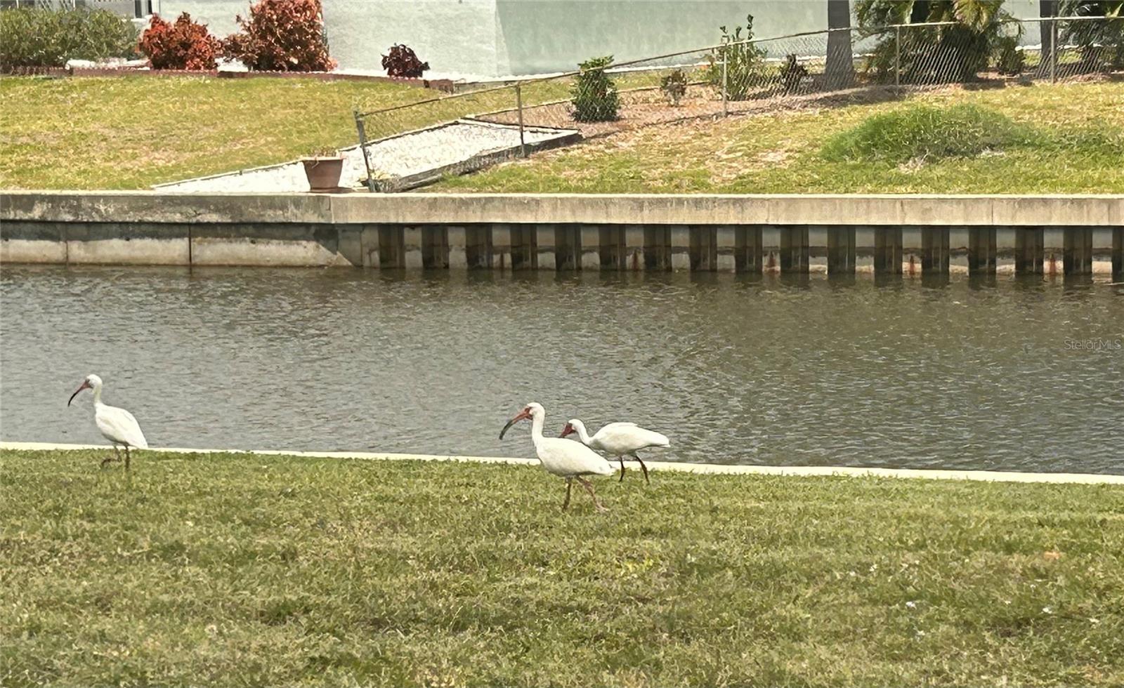 123 POINSETTIA CIR NE, PORT CHARLOTTE, FL, 33952