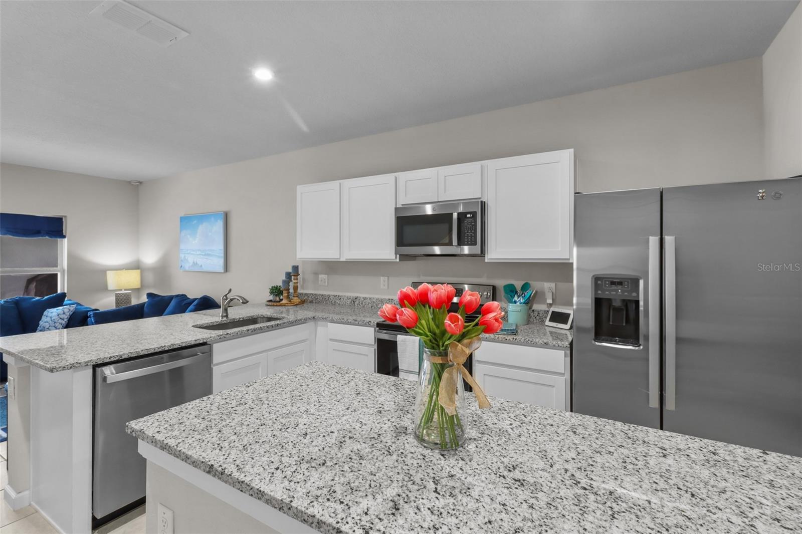 3138 VICTORIA INLET DR, HOLIDAY, FL, 34691