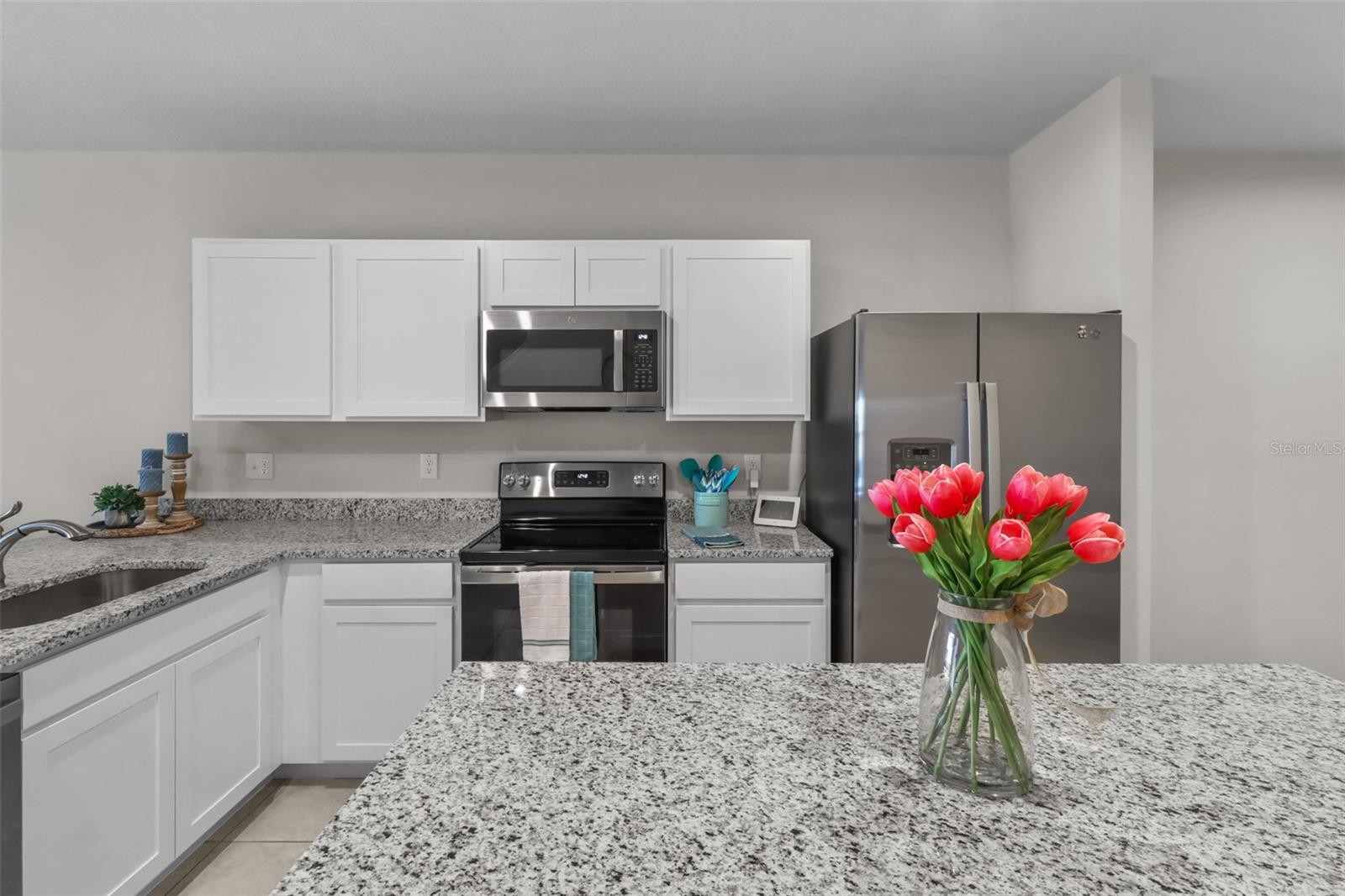 3138 VICTORIA INLET DR, HOLIDAY, FL, 34691