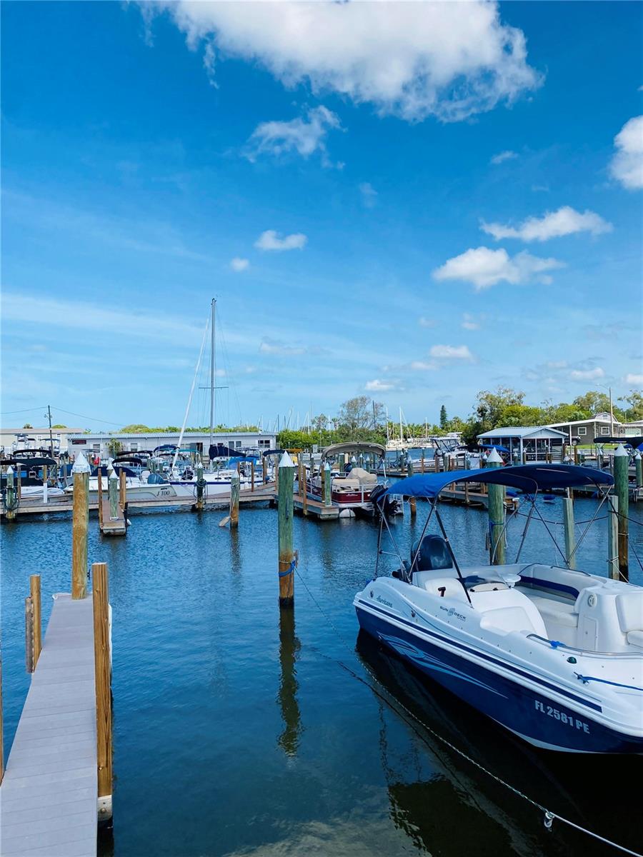 6609 DAKOTA ST, BRADENTON, FL, 34207