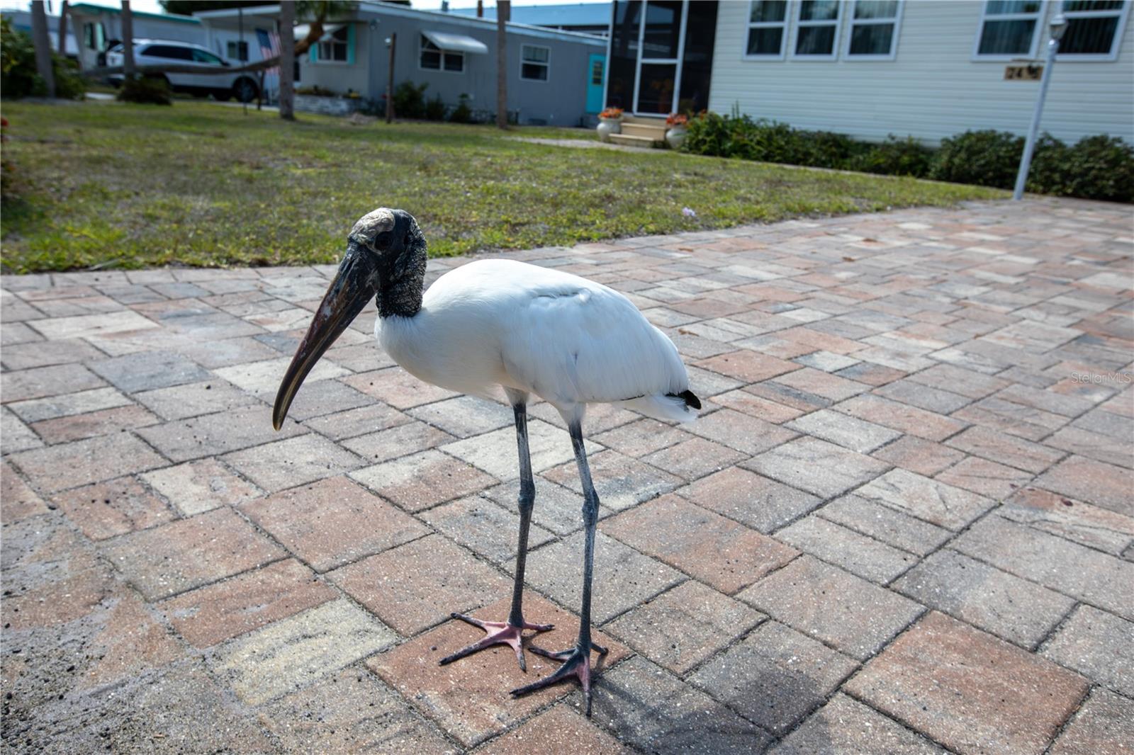 2465 HERON DR, ENGLEWOOD, FL, 34224