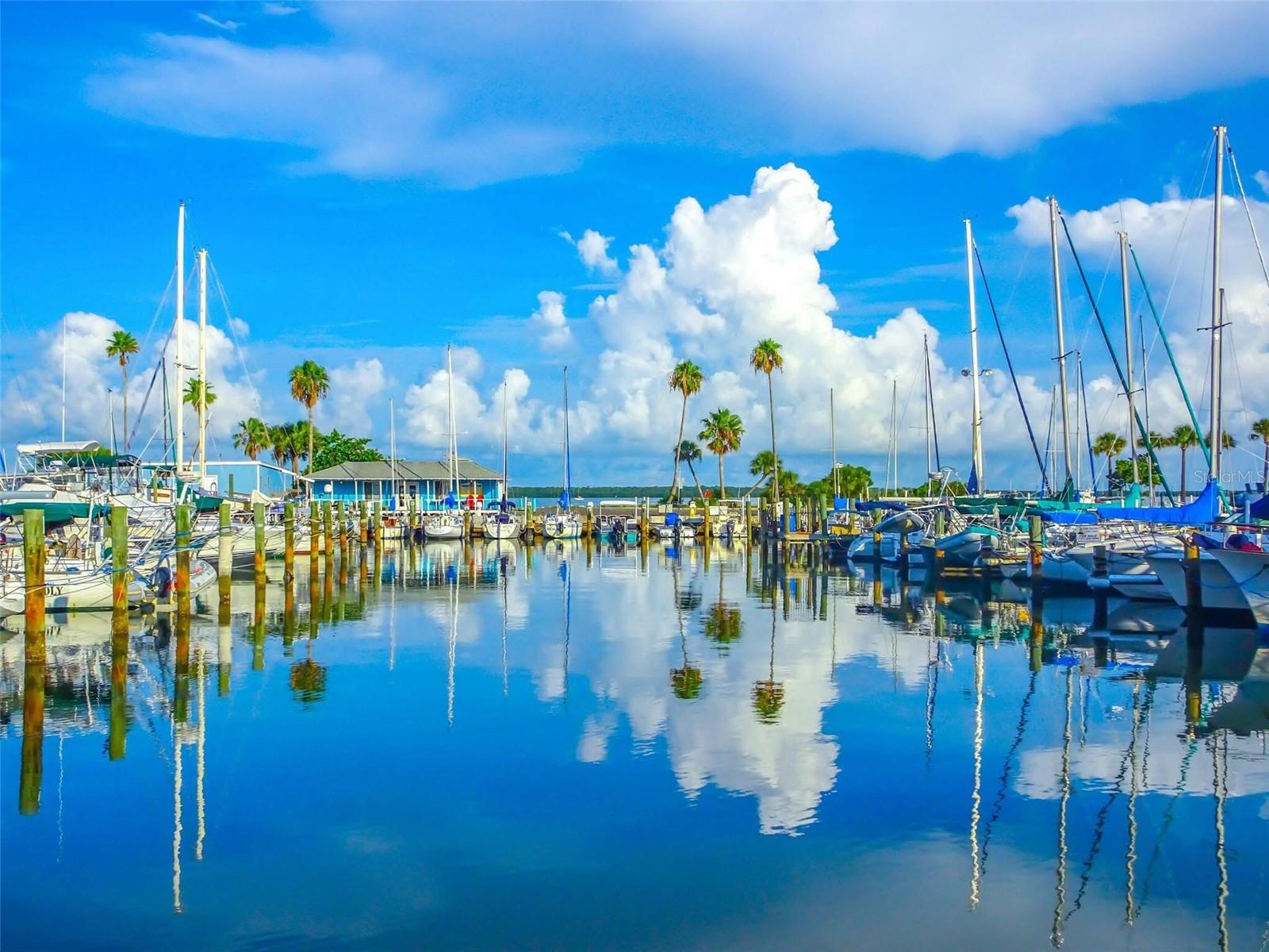 1246 IDLEWILD DR, CLEARWATER, FL, 33755