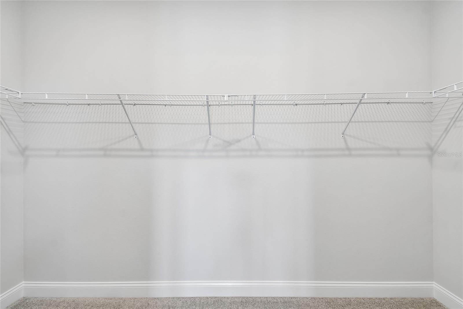 5693 LEAFLET TRL, MOUNT DORA, FL, 32757