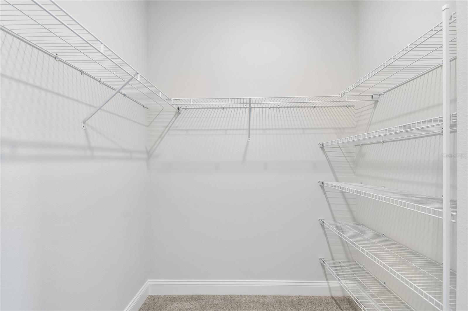 5693 LEAFLET TRL, MOUNT DORA, FL, 32757