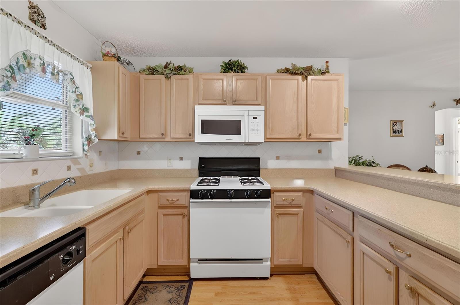 1806 ENGLEWOOD ST, THE VILLAGES, FL, 32162