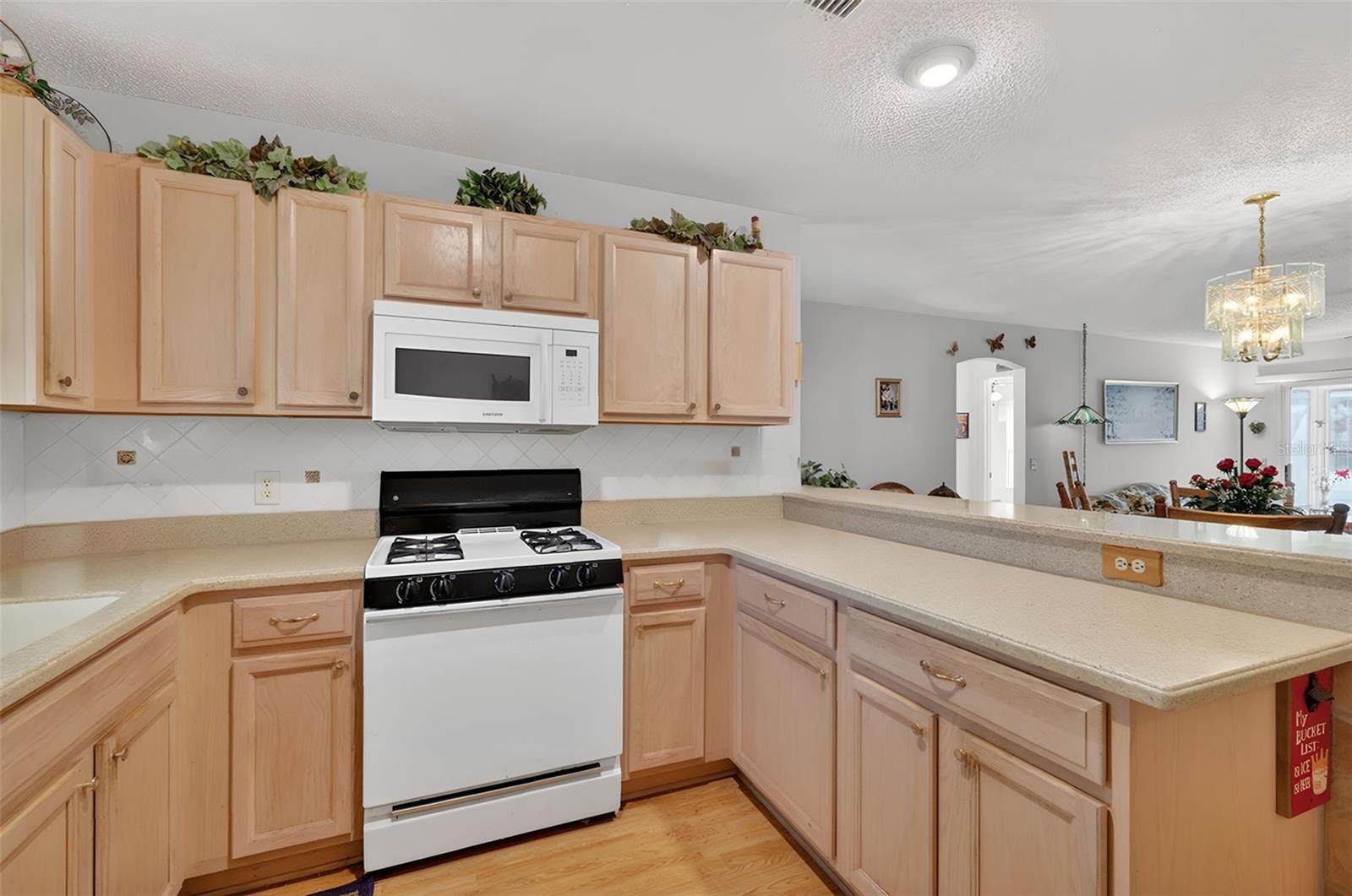1806 ENGLEWOOD ST, THE VILLAGES, FL, 32162