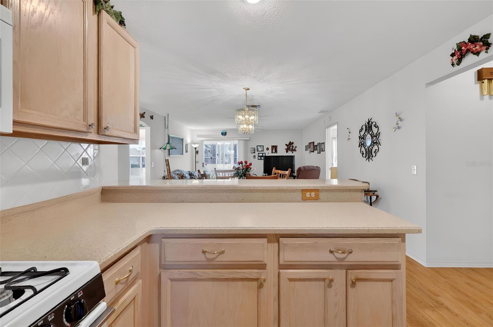 1806 ENGLEWOOD ST, THE VILLAGES, FL, 32162