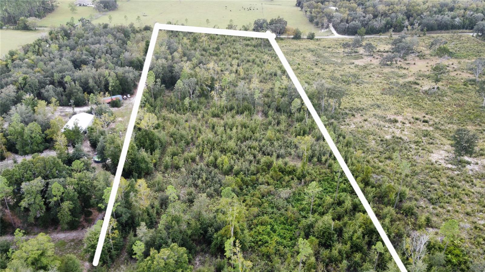 298TH STREET, NEWBERRY, FL, 32669