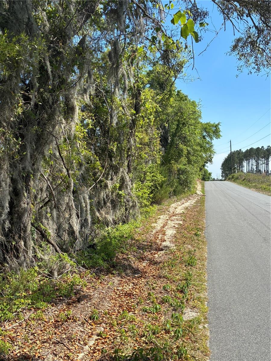 298TH STREET, NEWBERRY, FL, 32669