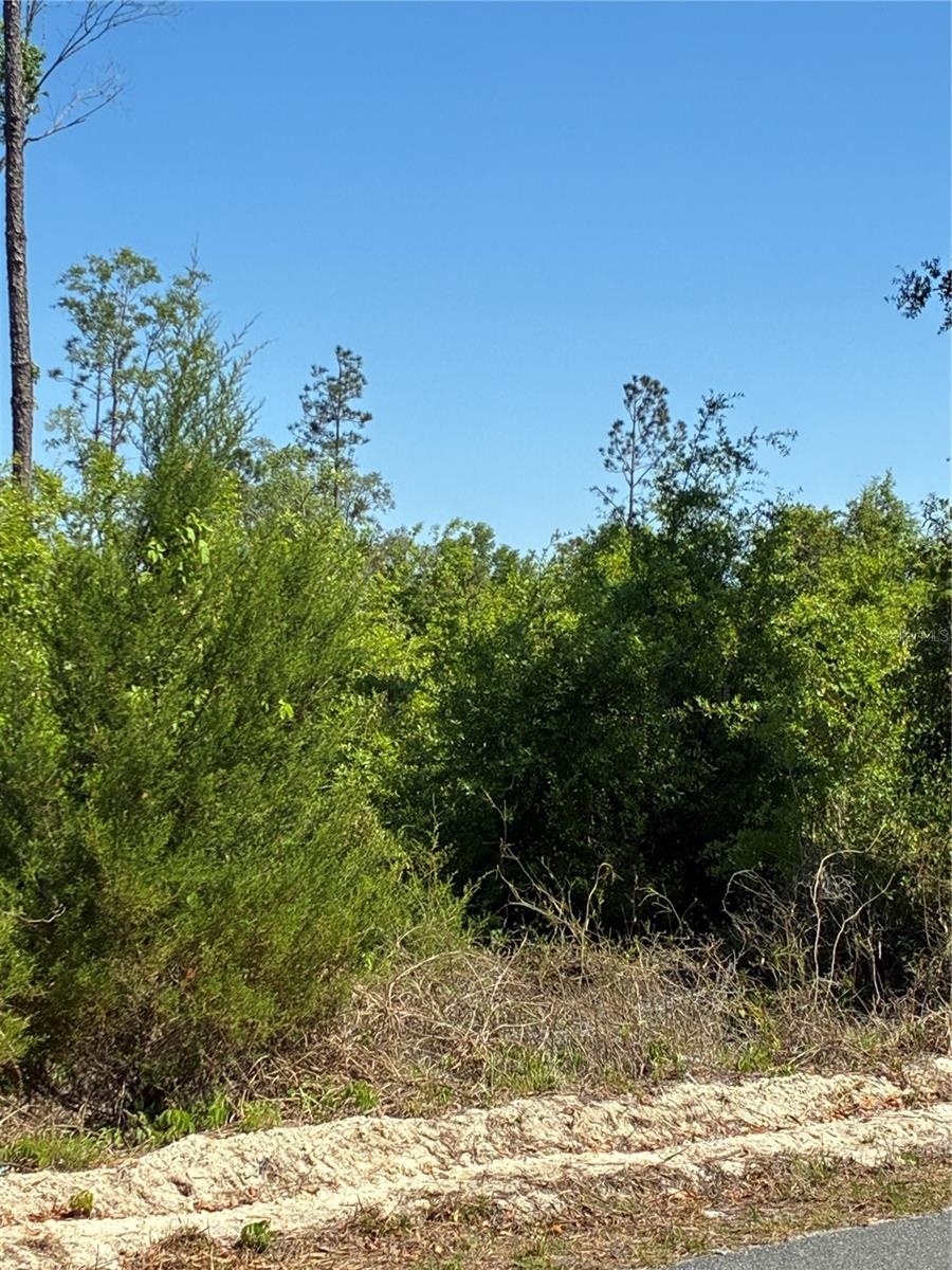 298TH STREET, NEWBERRY, FL, 32669