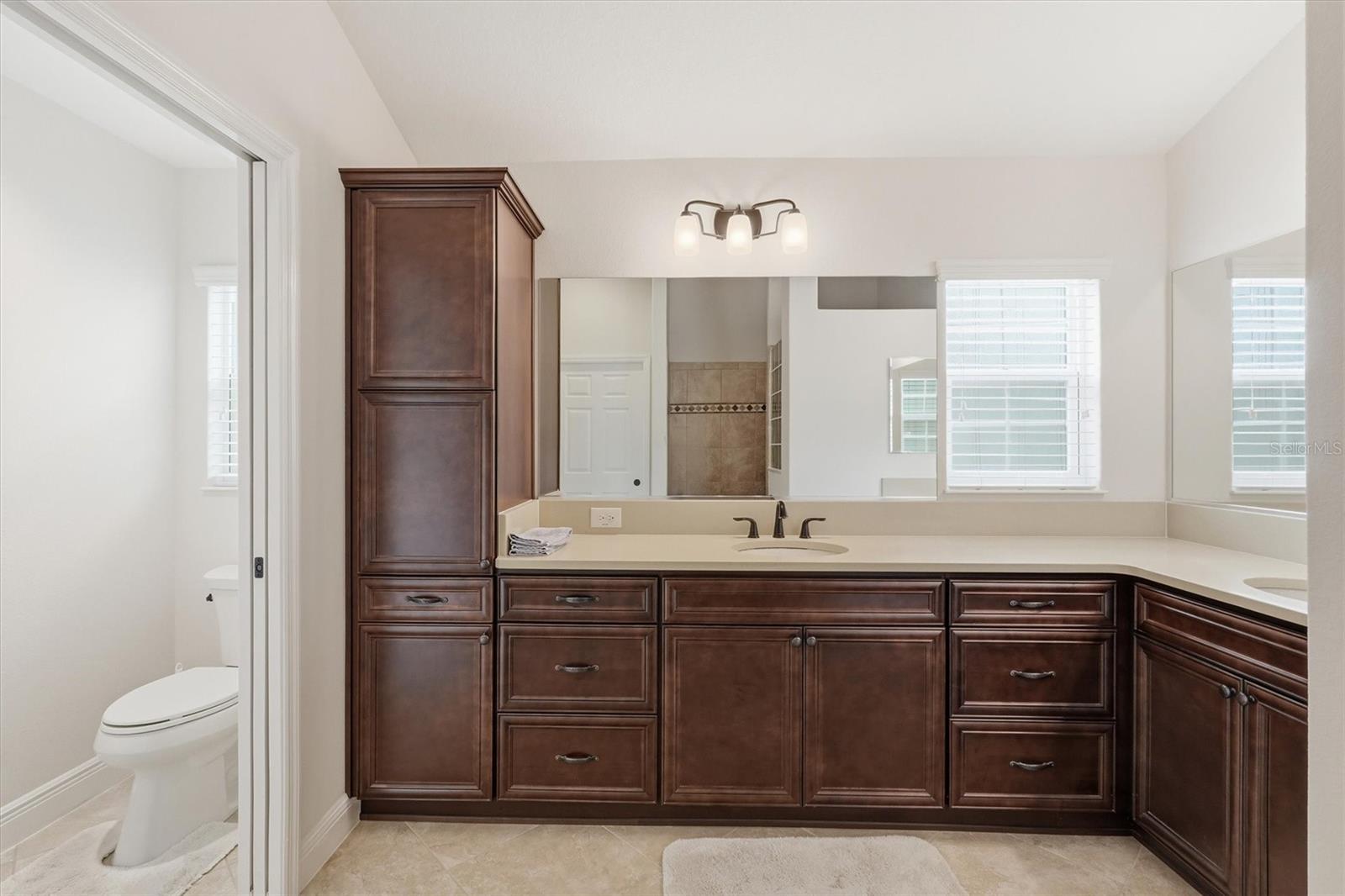 5819 WHITE IBIS RUN, THE VILLAGES, FL, 32163