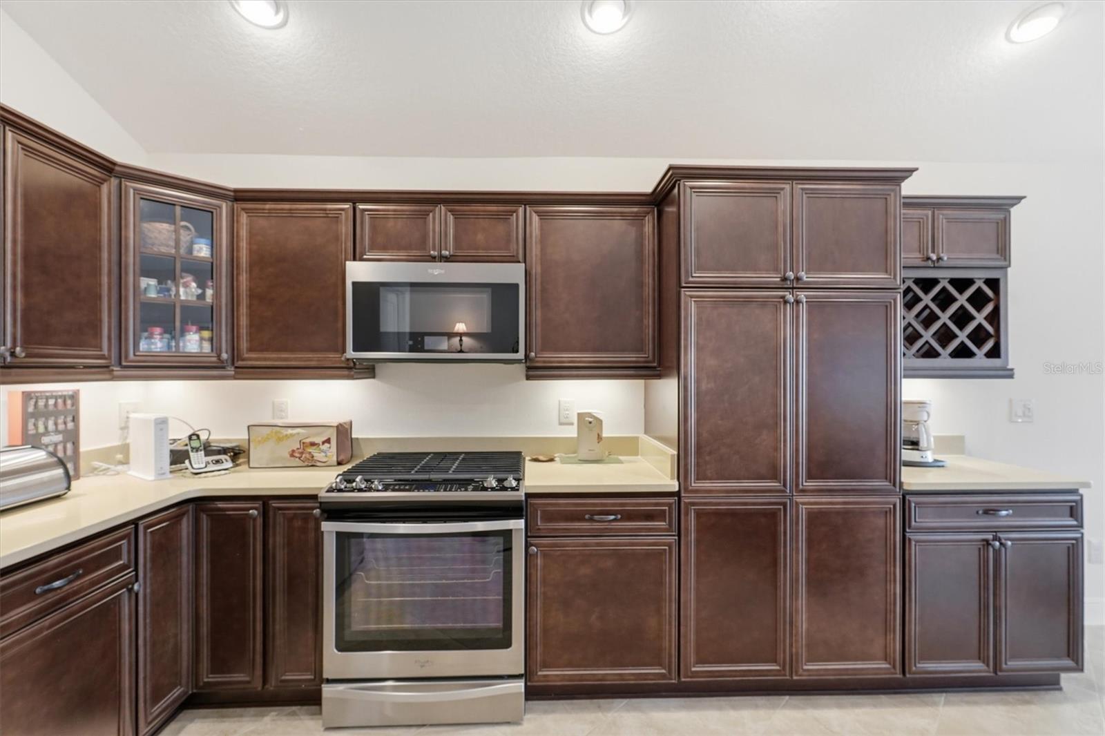 5819 WHITE IBIS RUN, THE VILLAGES, FL, 32163