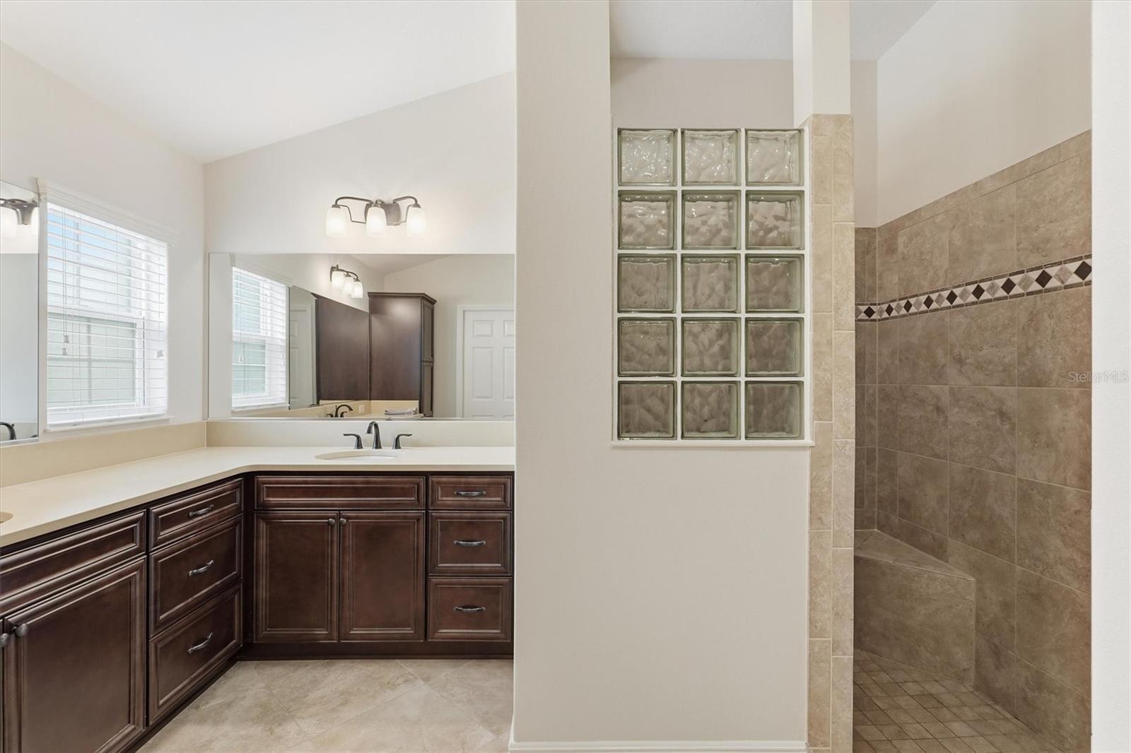 5819 WHITE IBIS RUN, THE VILLAGES, FL, 32163