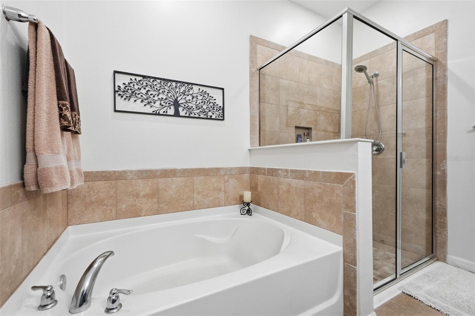 16508 CENTIPEDE ST, CLERMONT, FL, 34714