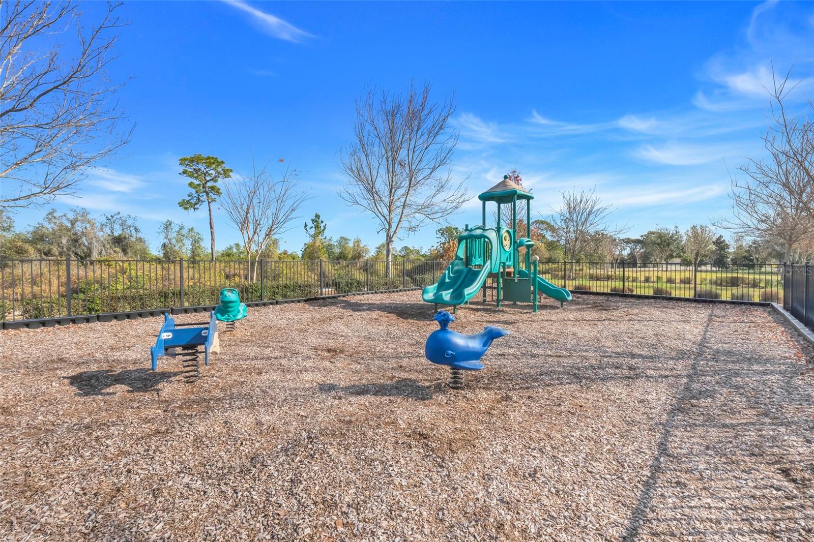 16508 CENTIPEDE ST, CLERMONT, FL, 34714