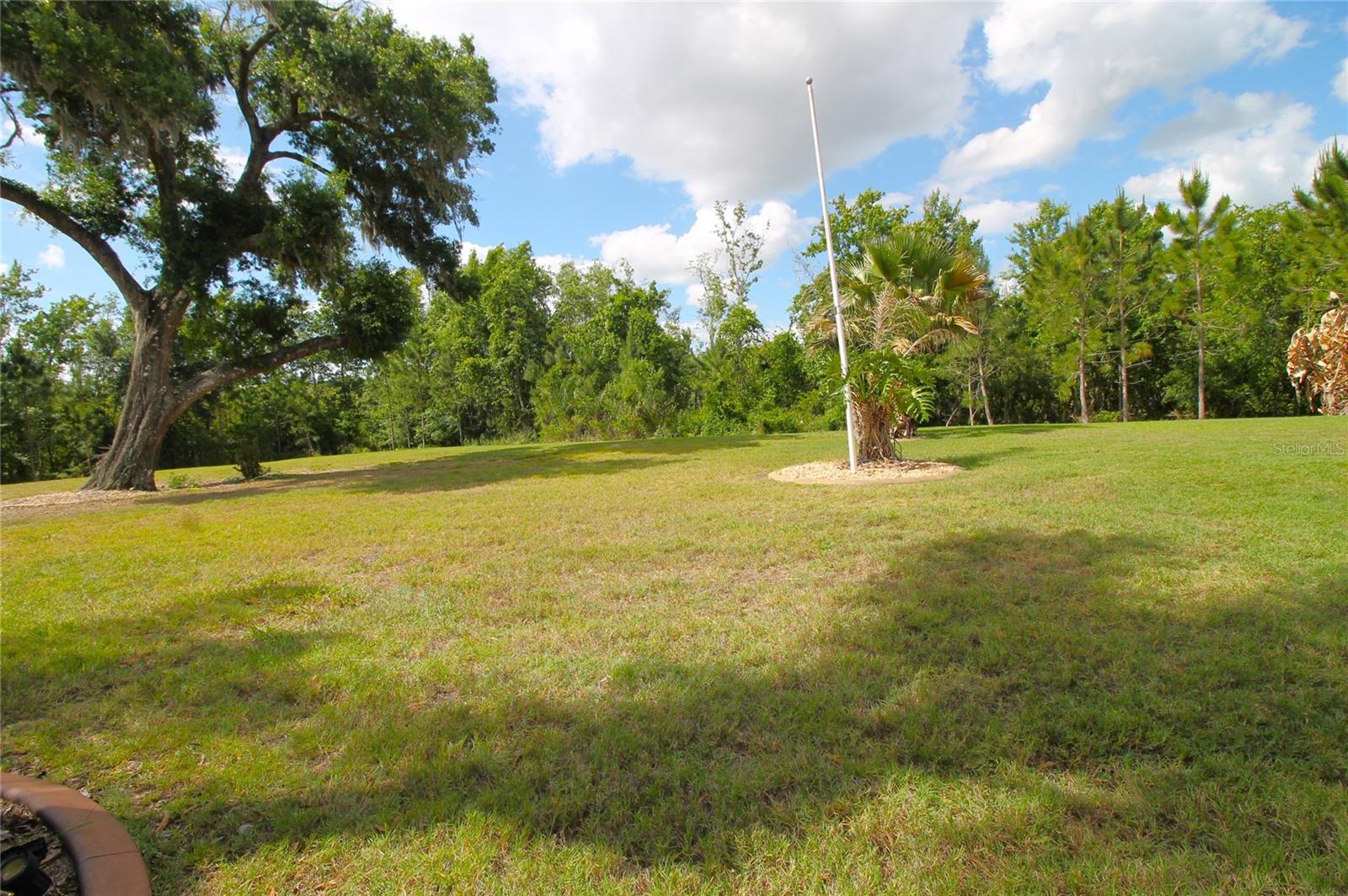 516 LAGO LOOP, DAVENPORT, FL, 33837