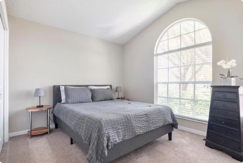 8534 FAWN CREEK DR, TAMPA, FL, 33626