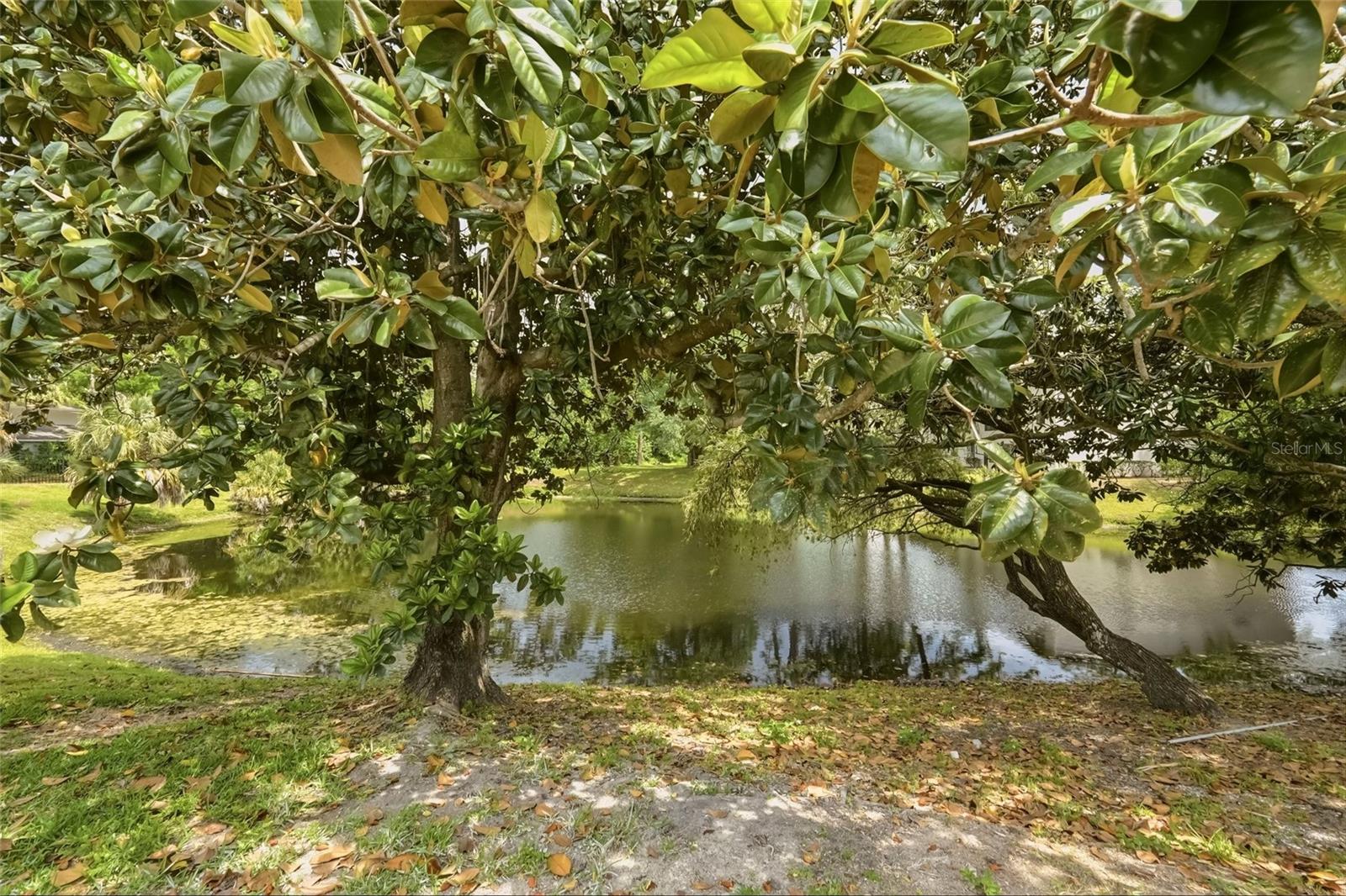 2643 BURNTFORK DR, CLEARWATER, FL, 33761