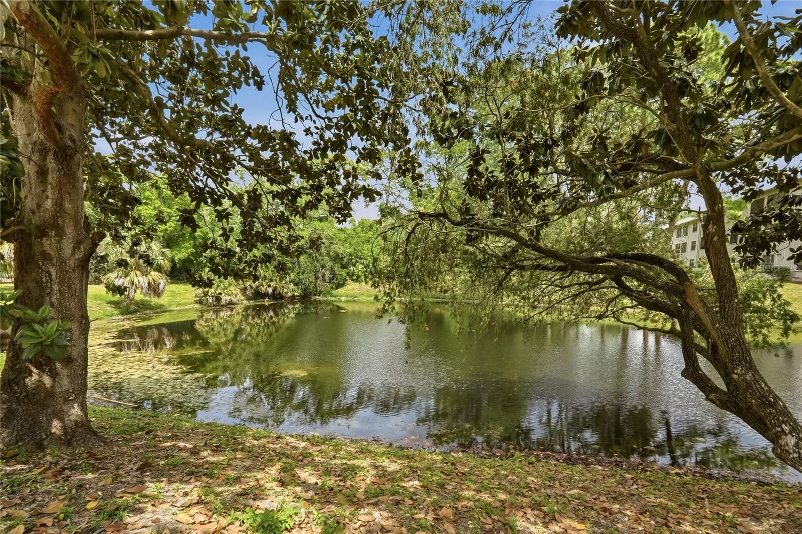 2643 BURNTFORK DR, CLEARWATER, FL, 33761