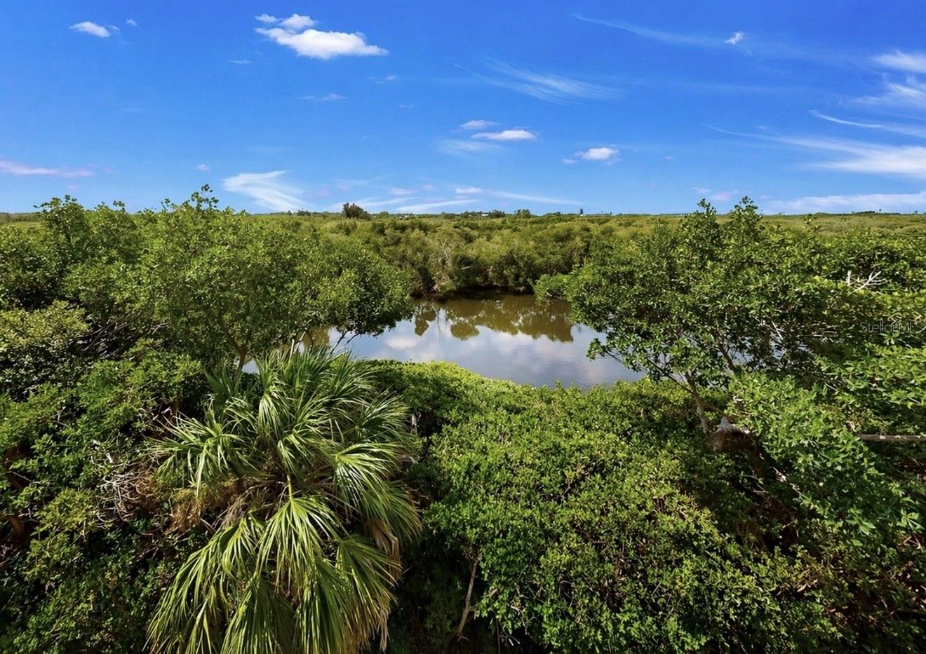 3202 MANGROVE POINT DR, RUSKIN, FL, 33570