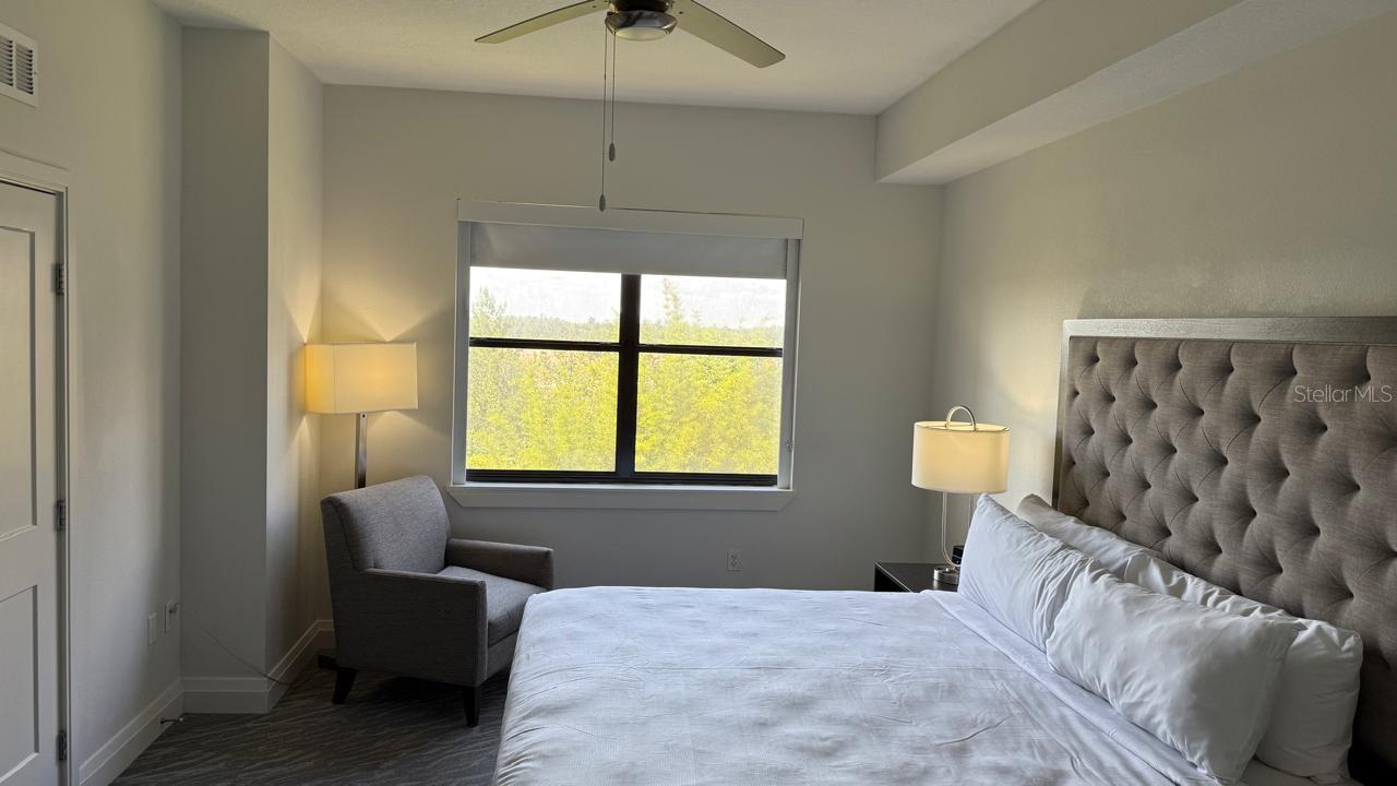 14501 GROVE RESORT AVE #3429, WINTER GARDEN, FL, 34787