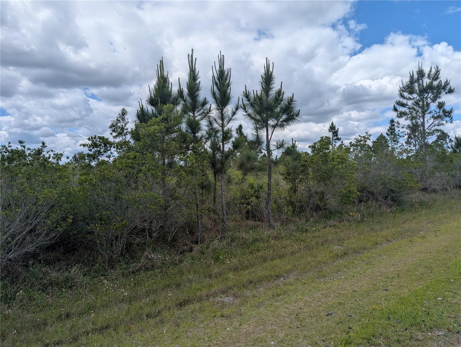 ALTHEA DR, INDIAN LAKE ESTATES, FL, 33855