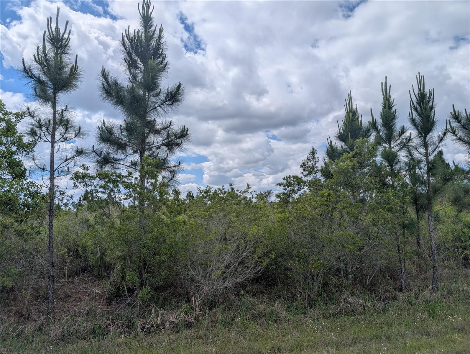 ALTHEA DR, INDIAN LAKE ESTATES, FL, 33855