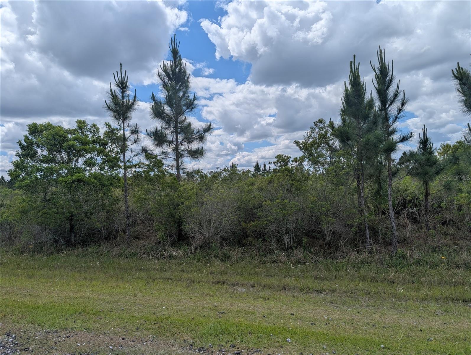 ALTHEA DR, INDIAN LAKE ESTATES, FL, 33855