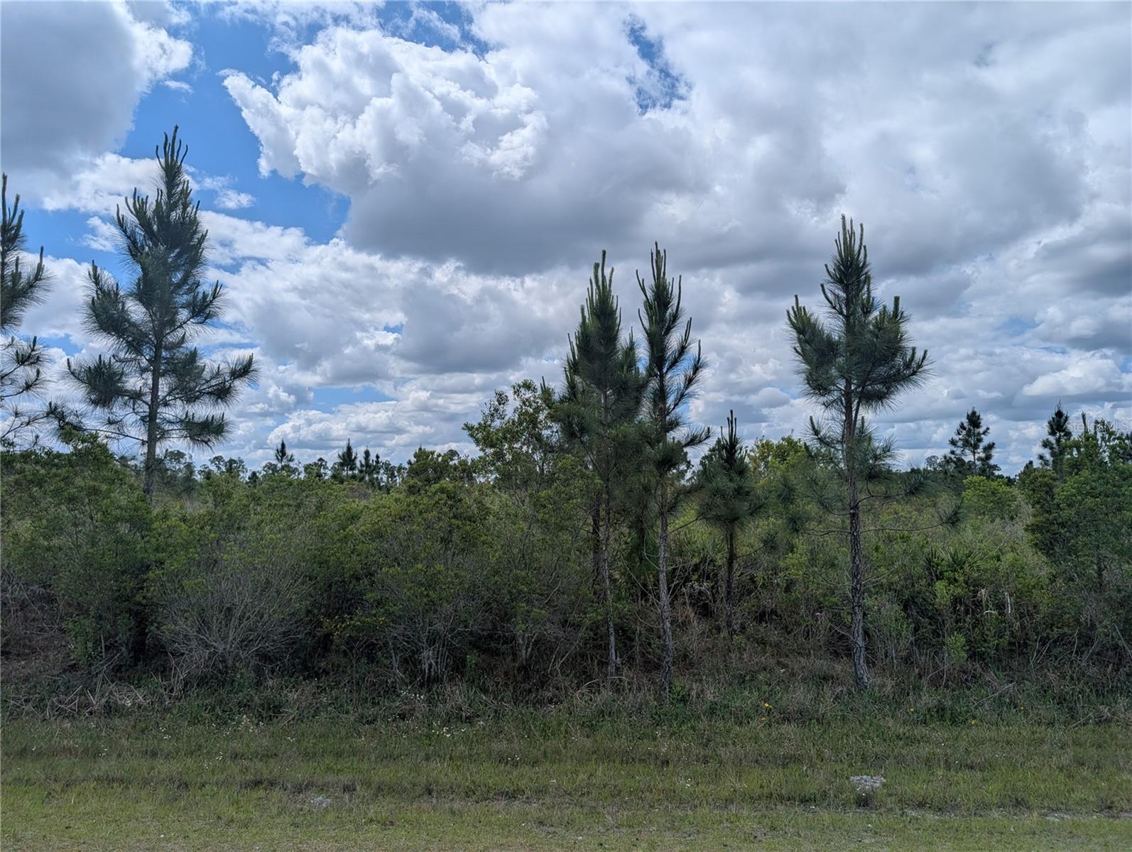 ALTHEA DR, INDIAN LAKE ESTATES, FL, 33855