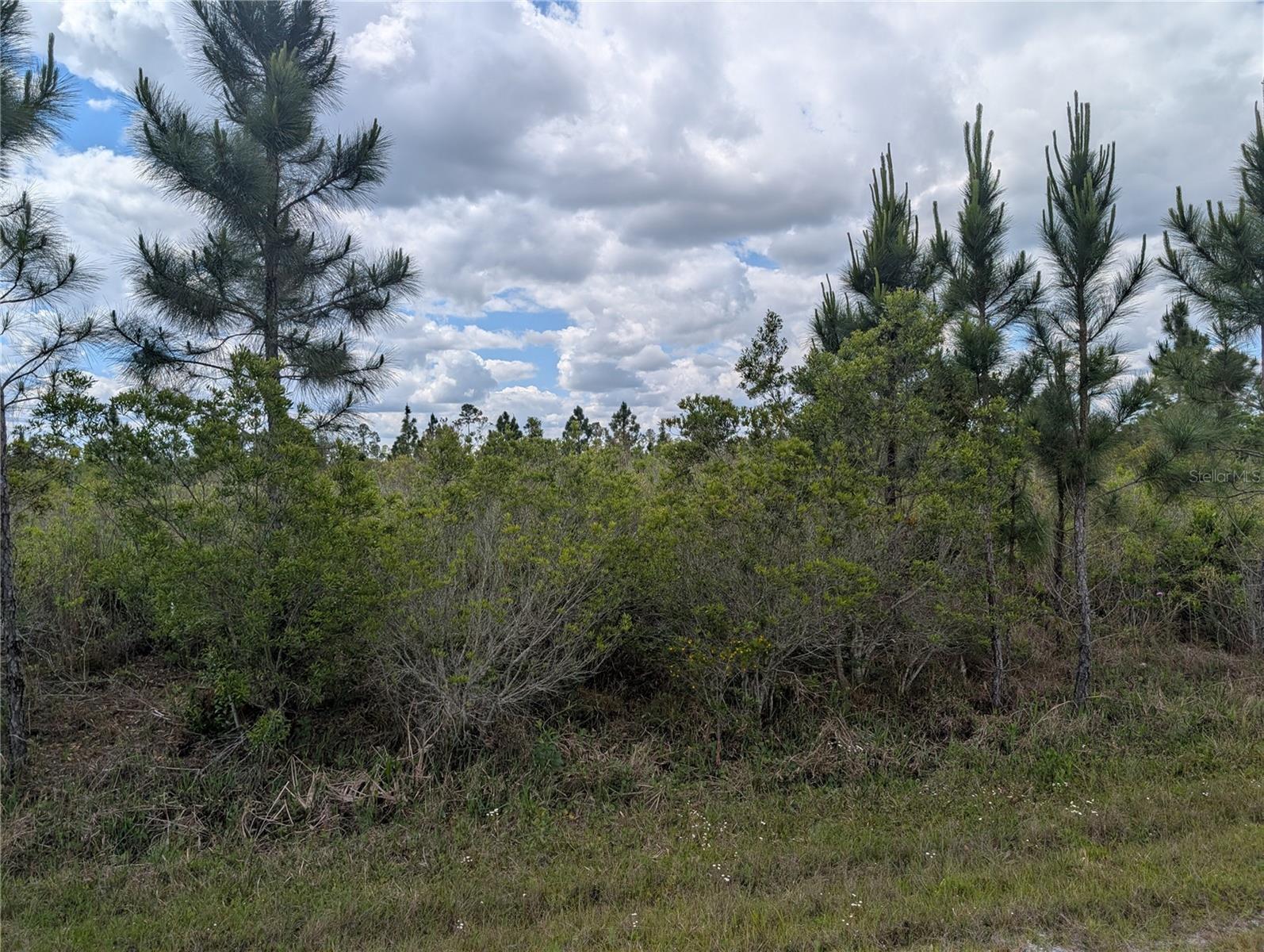 ALTHEA DR, INDIAN LAKE ESTATES, FL, 33855