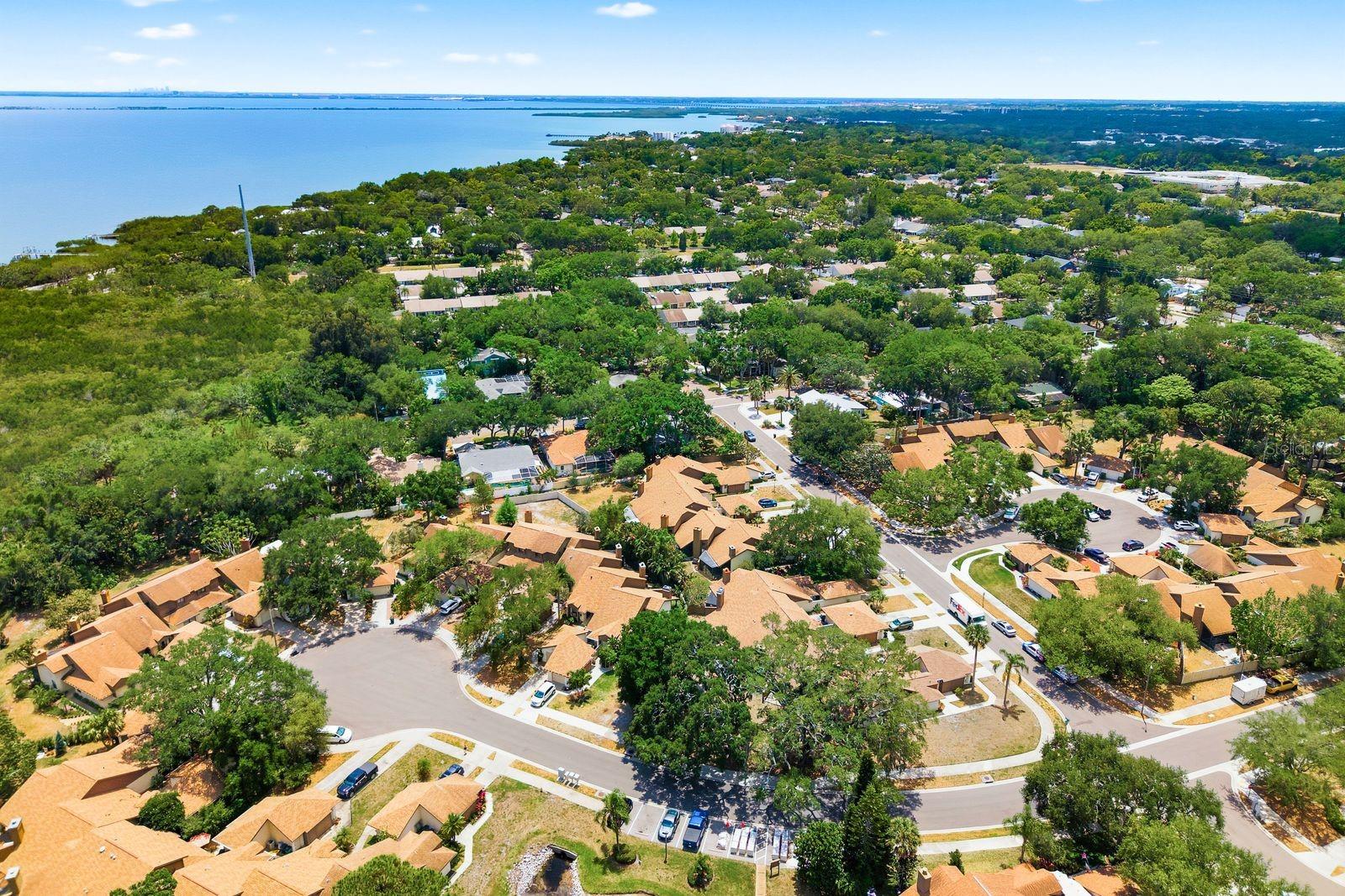 1906 WESTLEY ST, SAFETY HARBOR, FL, 34695