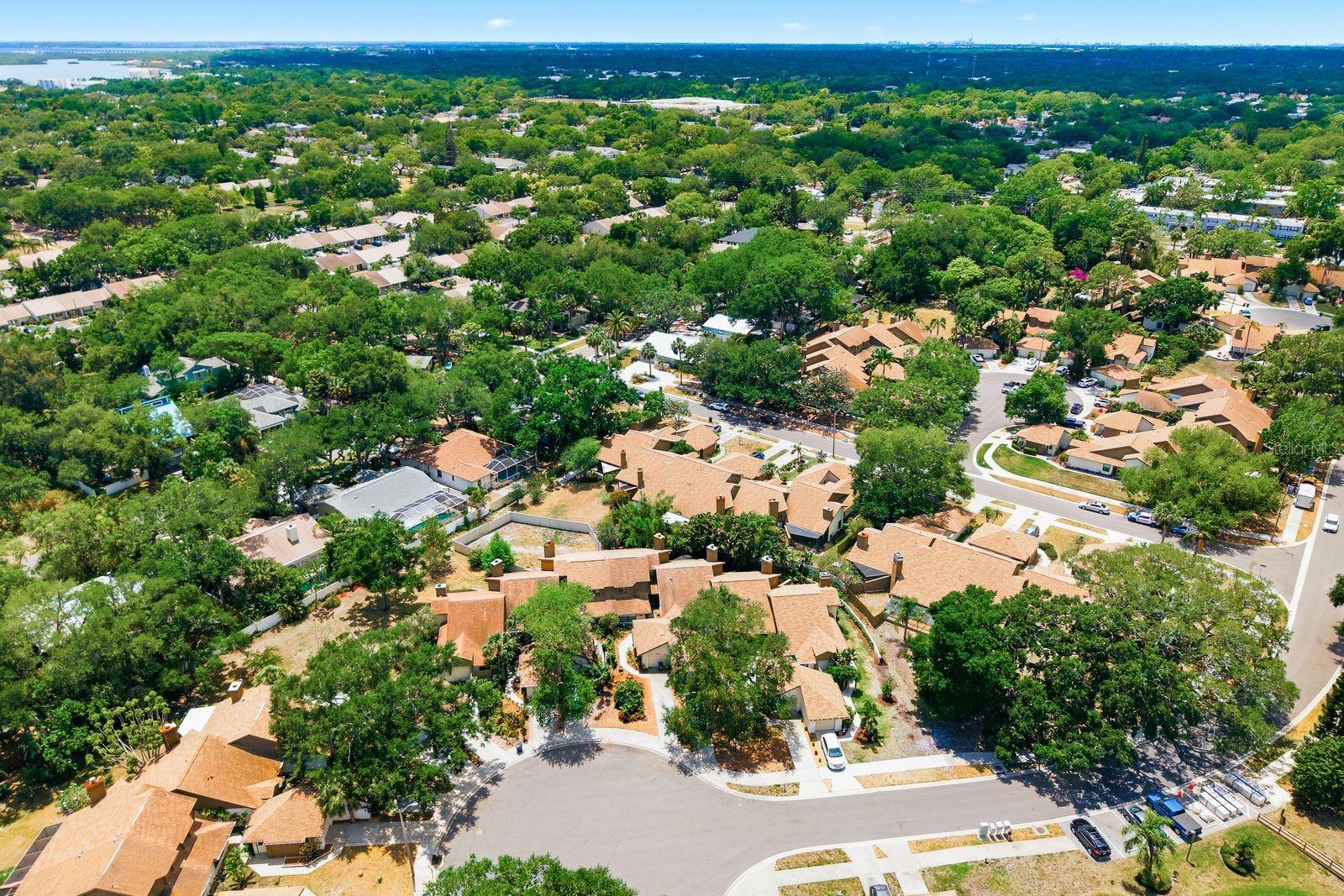 1906 WESTLEY ST, SAFETY HARBOR, FL, 34695