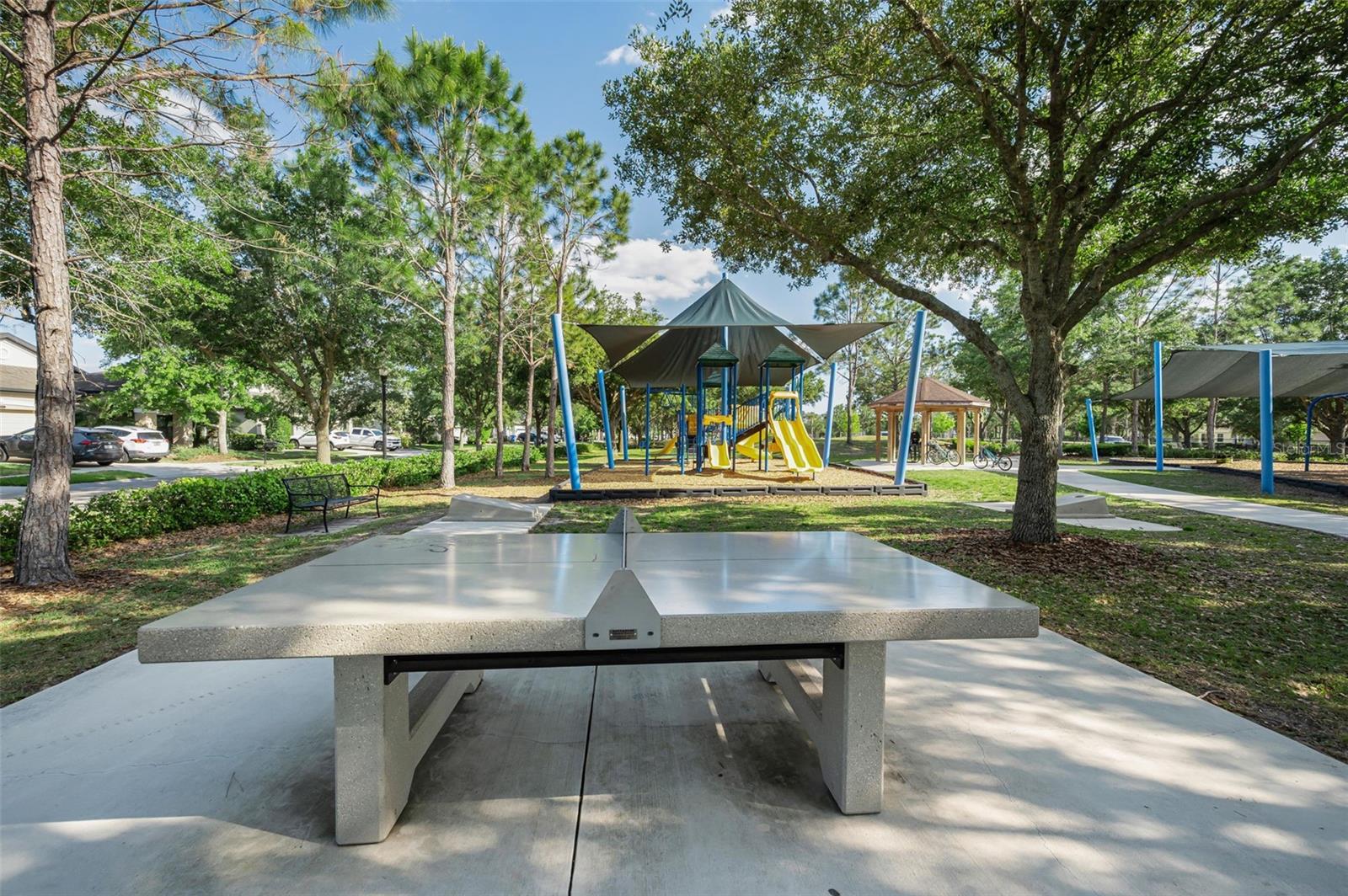 8449 BLUEVINE SKY DR, LAND O LAKES, FL, 34637