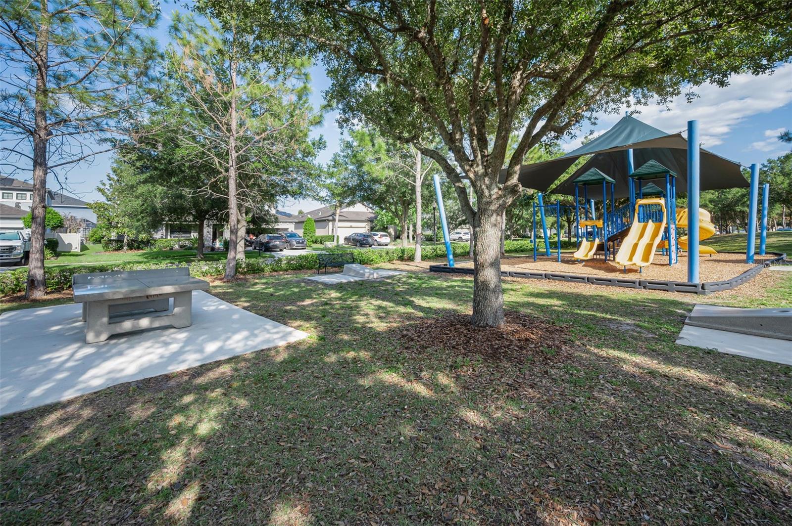 8449 BLUEVINE SKY DR, LAND O LAKES, FL, 34637