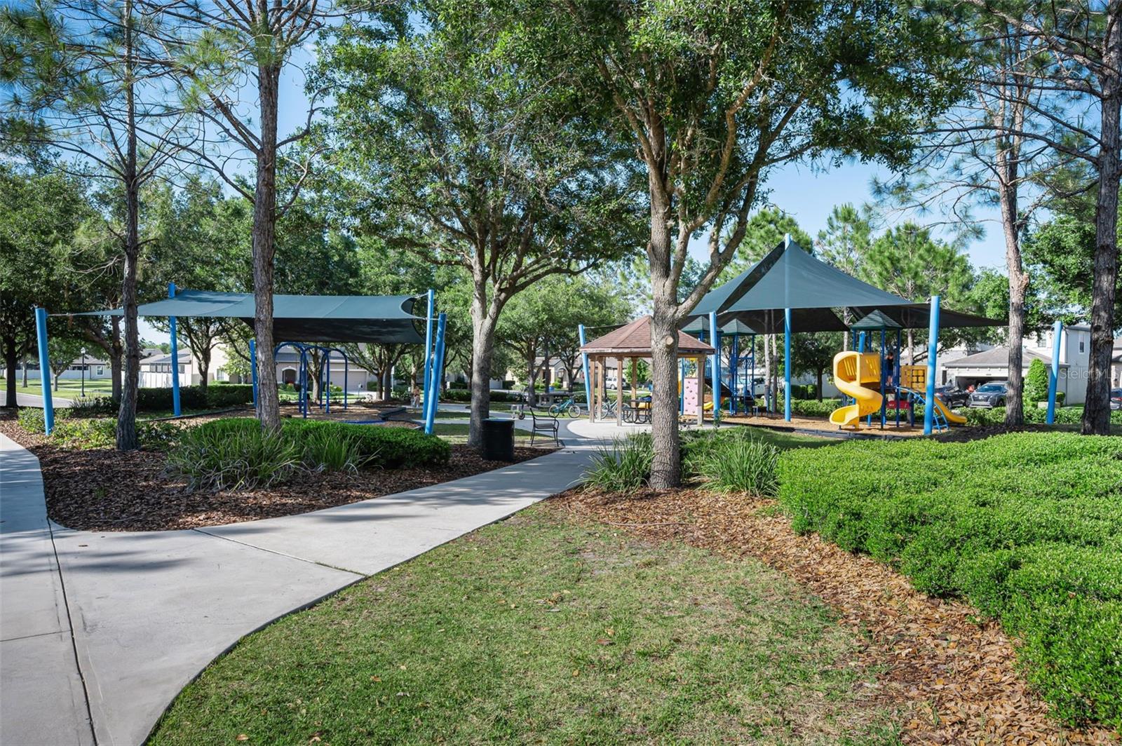 8449 BLUEVINE SKY DR, LAND O LAKES, FL, 34637