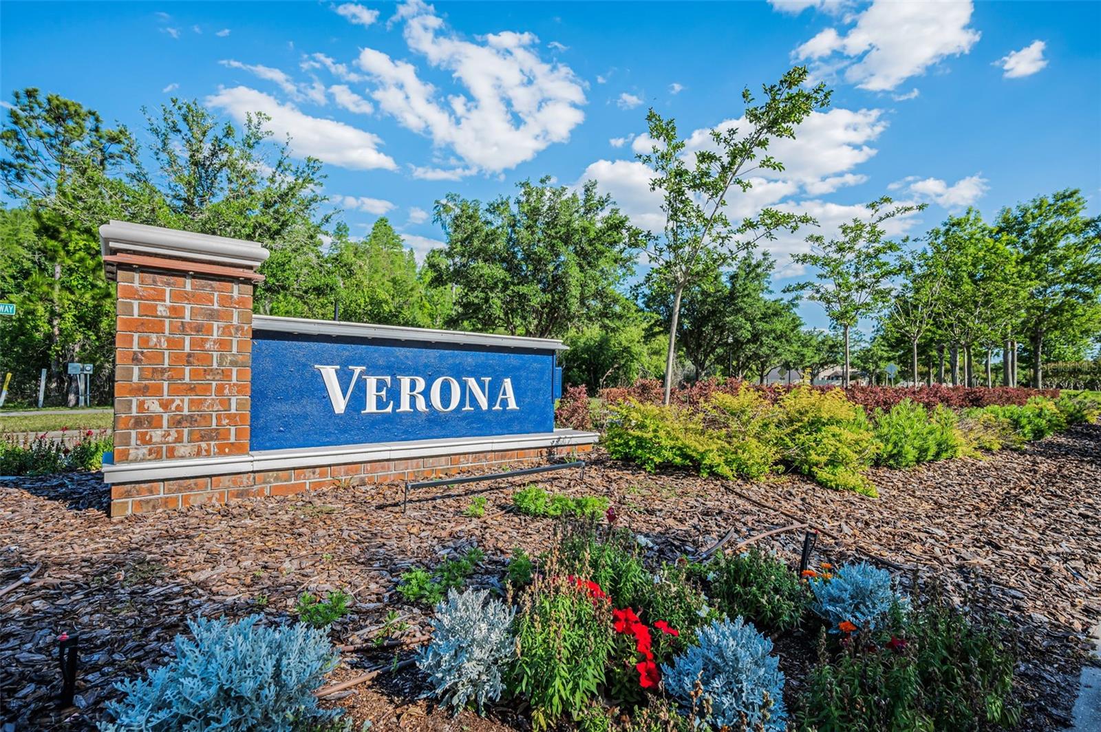 8449 BLUEVINE SKY DR, LAND O LAKES, FL, 34637