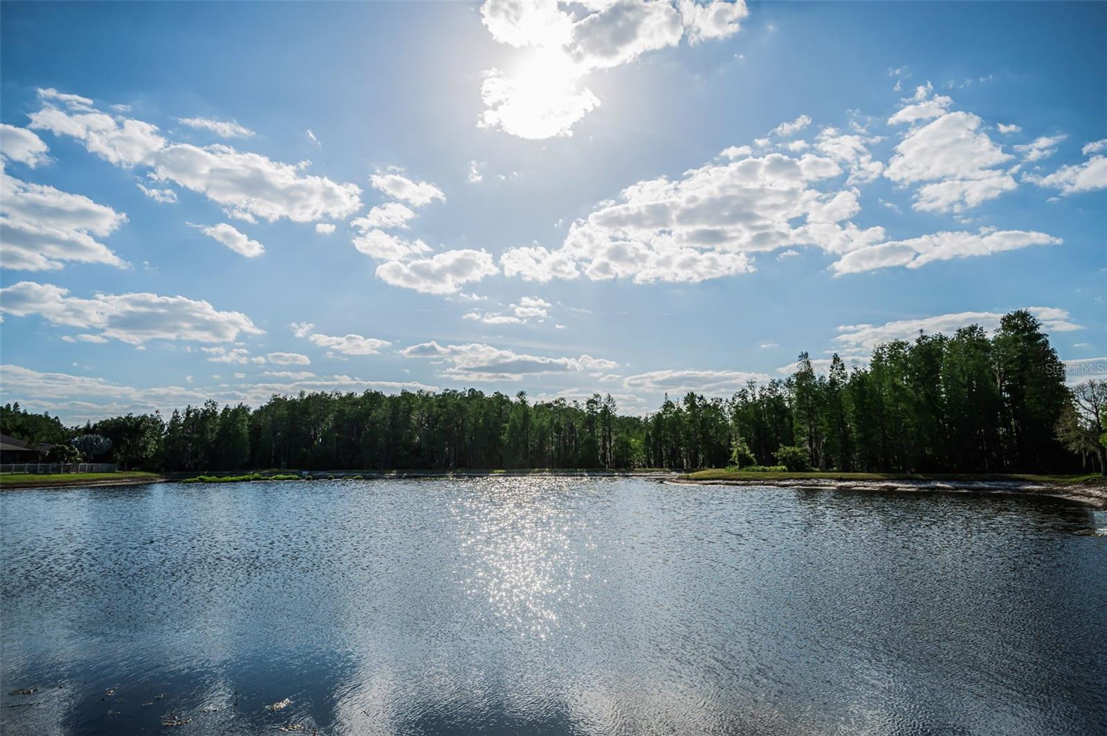 8449 BLUEVINE SKY DR, LAND O LAKES, FL, 34637