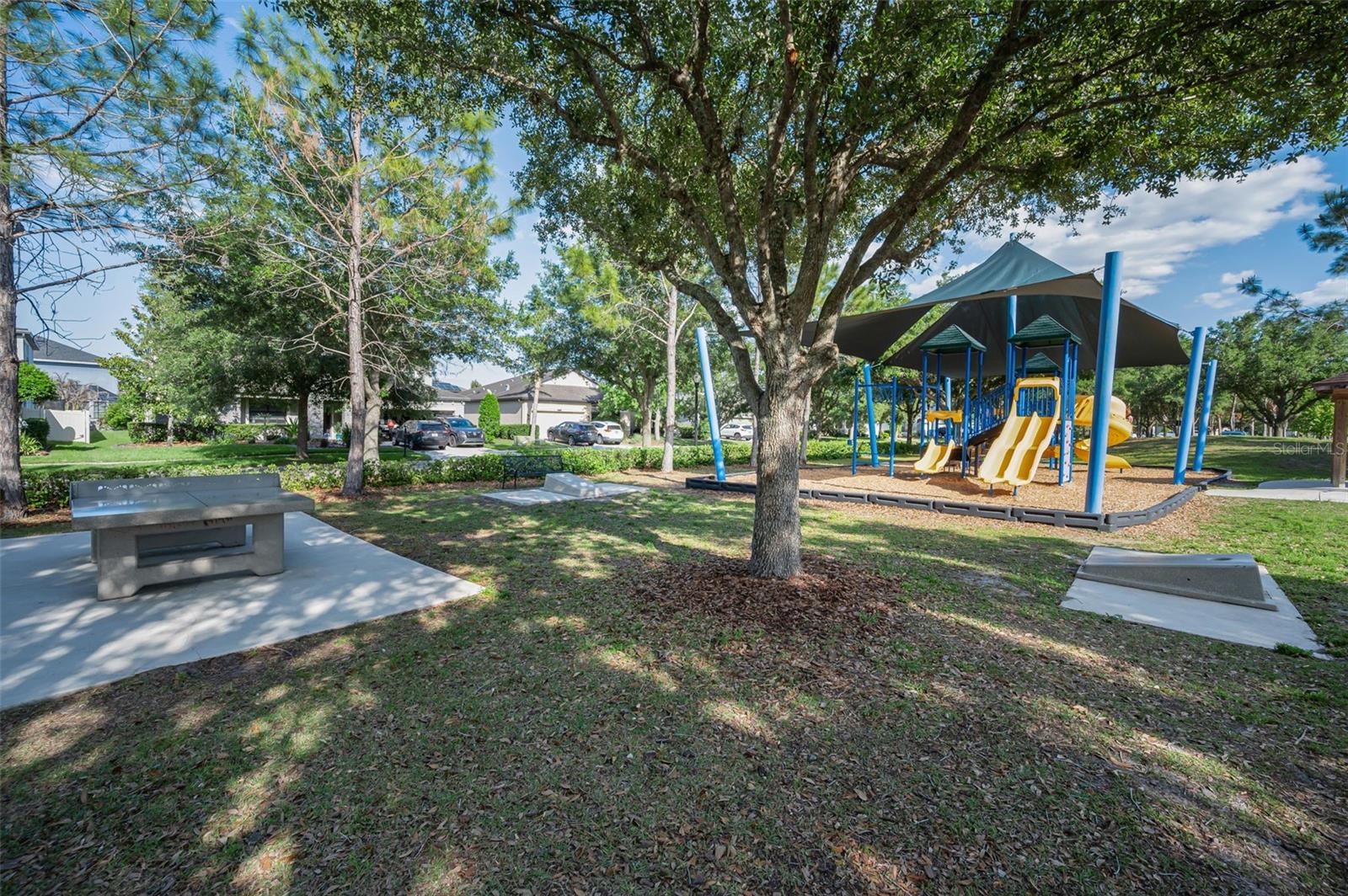 8449 BLUEVINE SKY DR, LAND O LAKES, FL, 34637