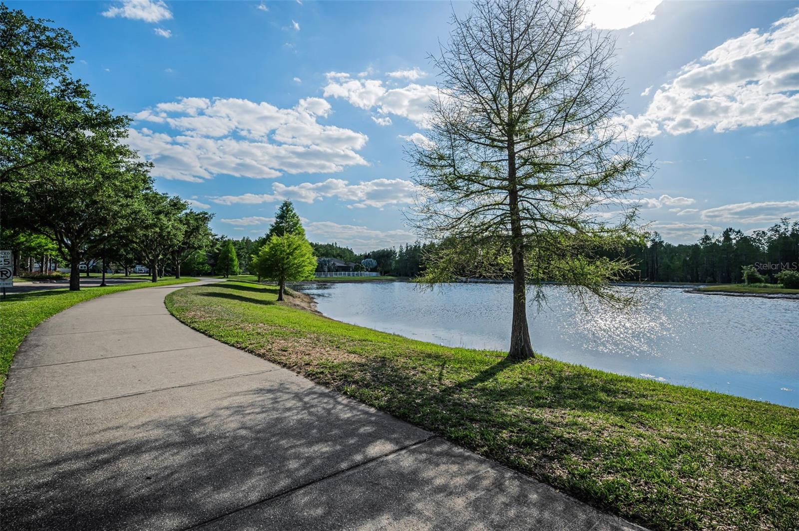 8449 BLUEVINE SKY DR, LAND O LAKES, FL, 34637