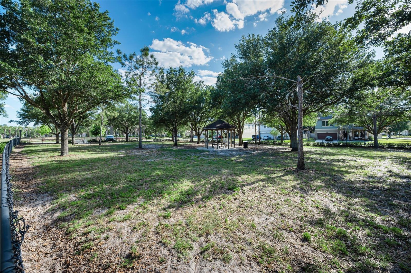 8449 BLUEVINE SKY DR, LAND O LAKES, FL, 34637