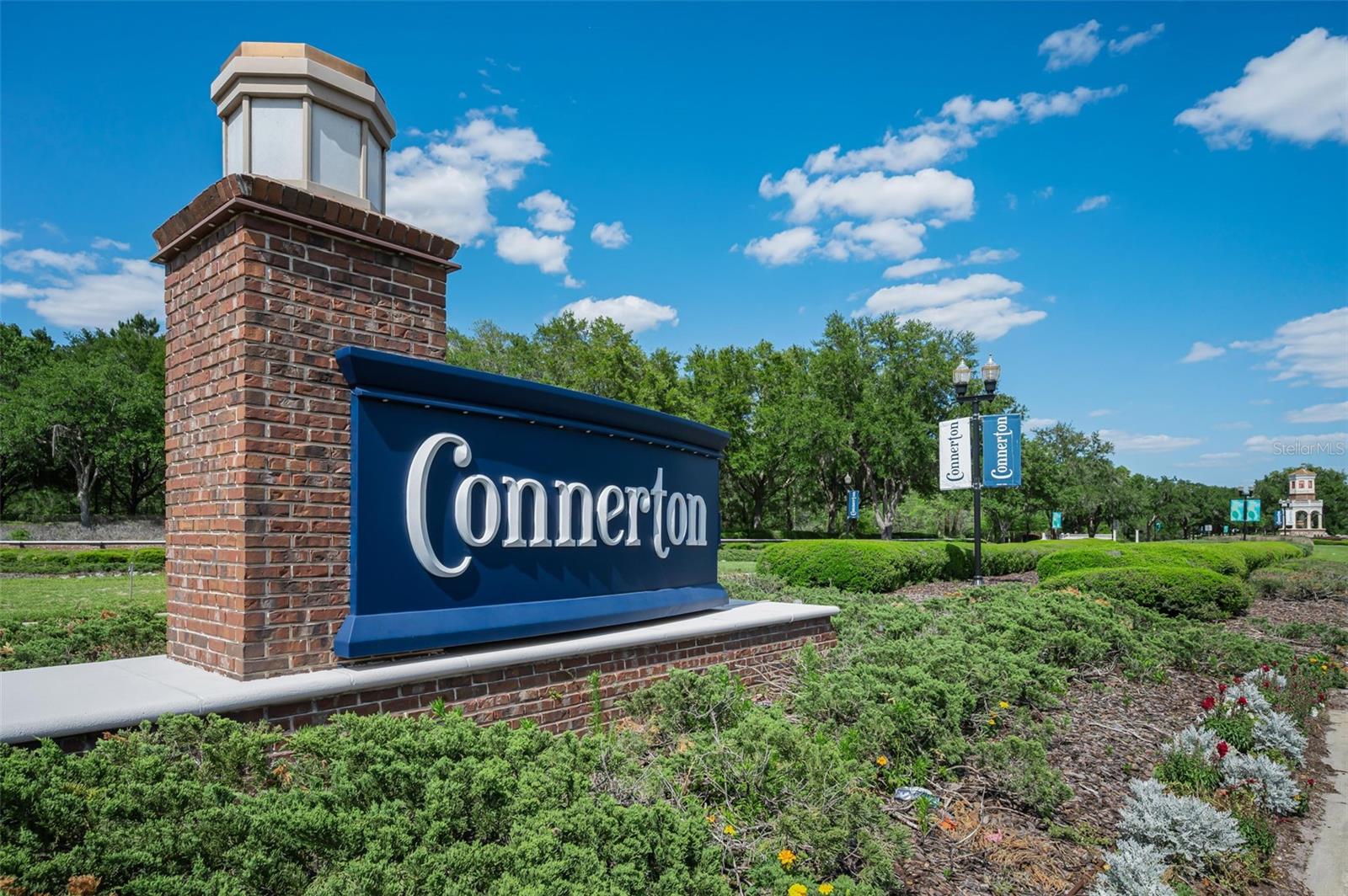 8449 BLUEVINE SKY DR, LAND O LAKES, FL, 34637