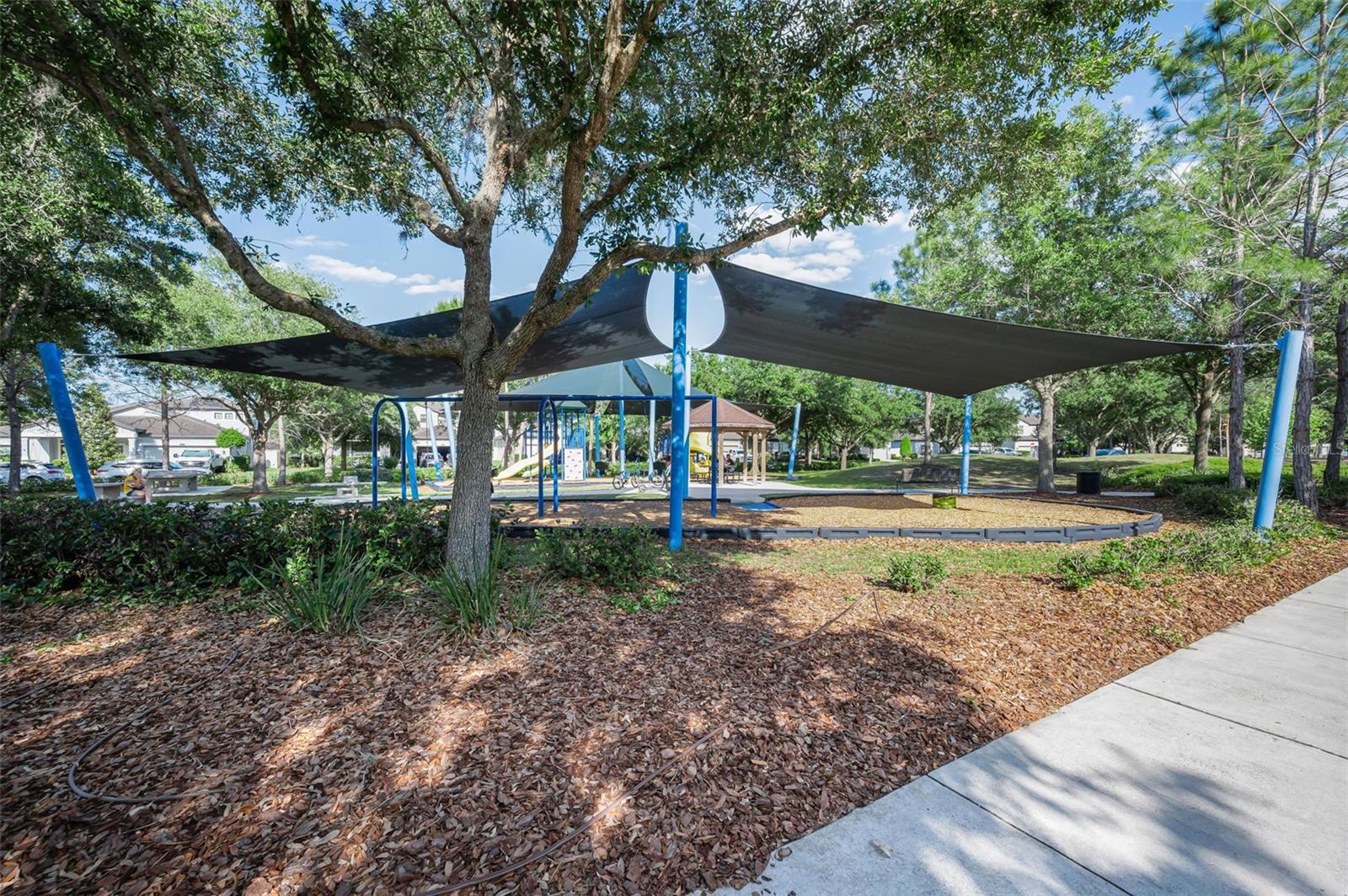 8449 BLUEVINE SKY DR, LAND O LAKES, FL, 34637