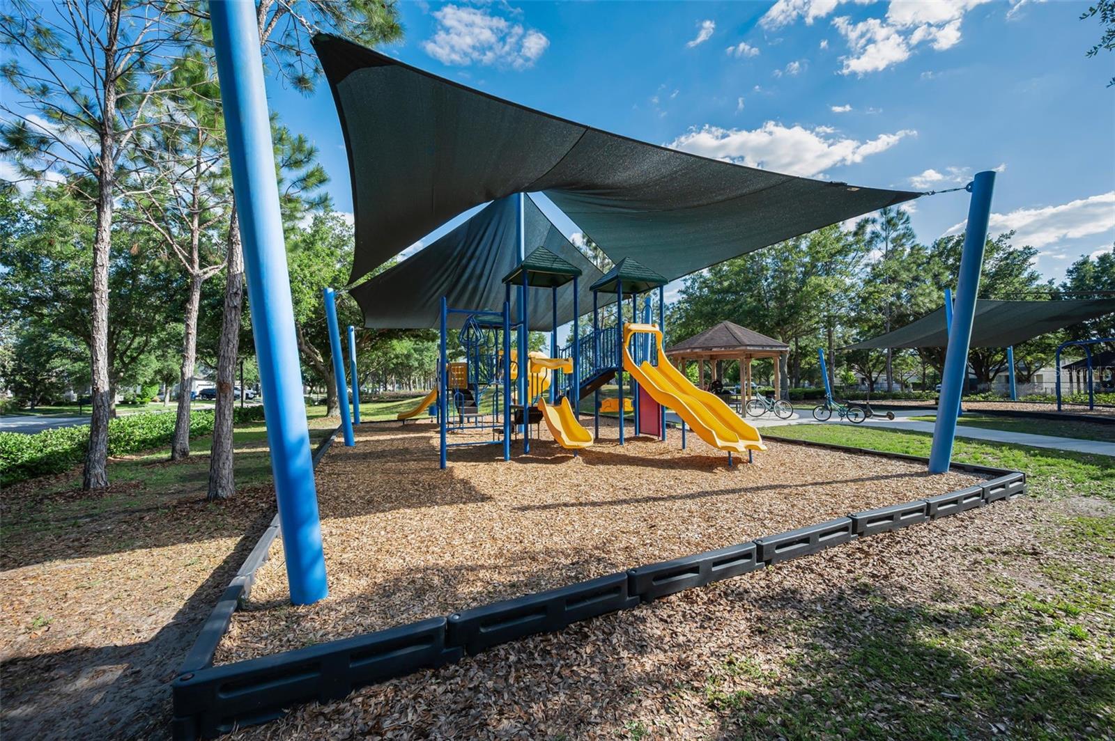 8449 BLUEVINE SKY DR, LAND O LAKES, FL, 34637