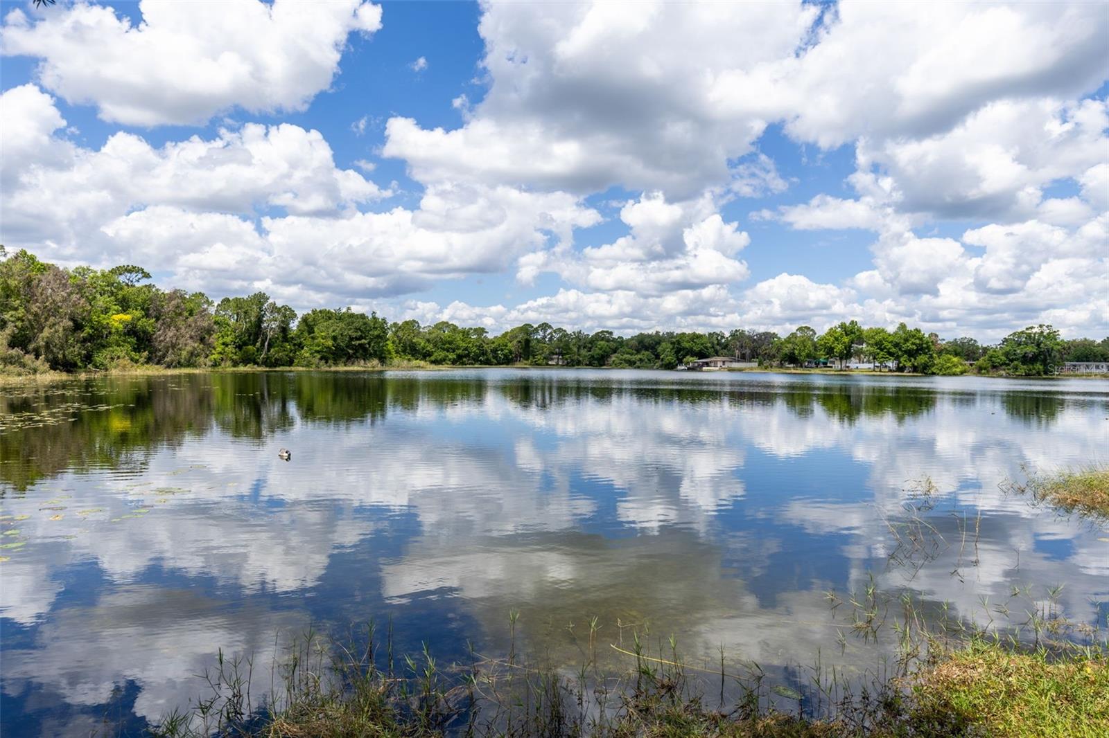 620 LAKE DR, OVIEDO, FL, 32766