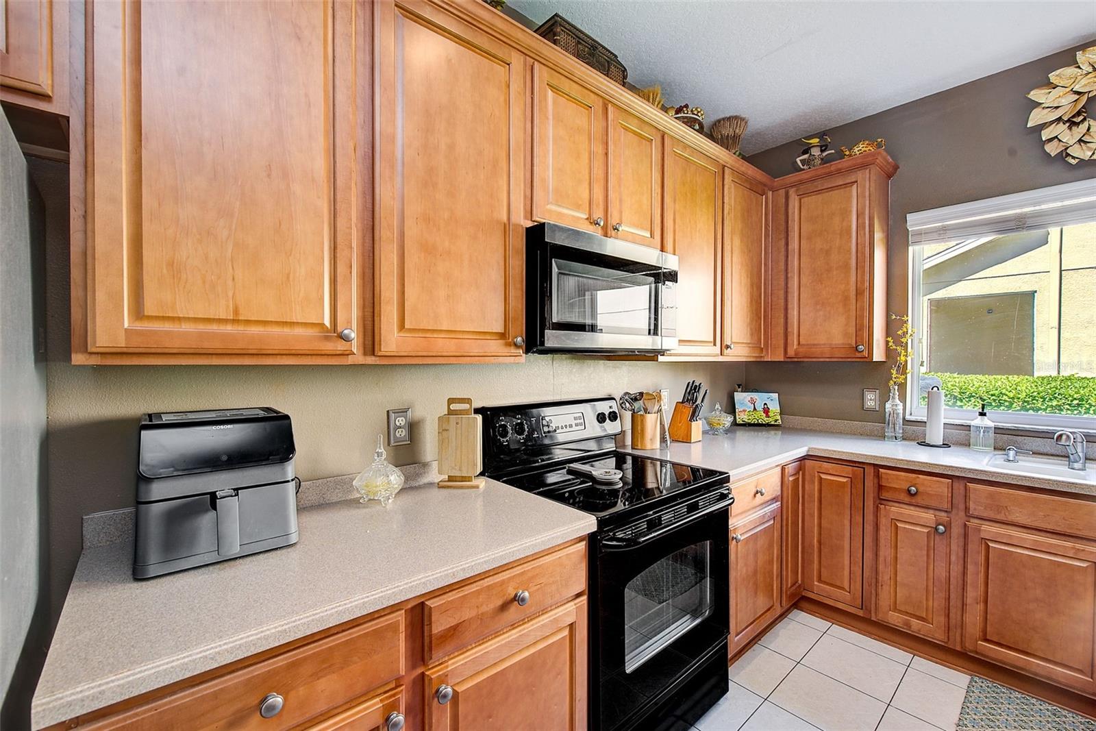 2923 LOCHCARRON DR, LAND O LAKES, FL, 34638