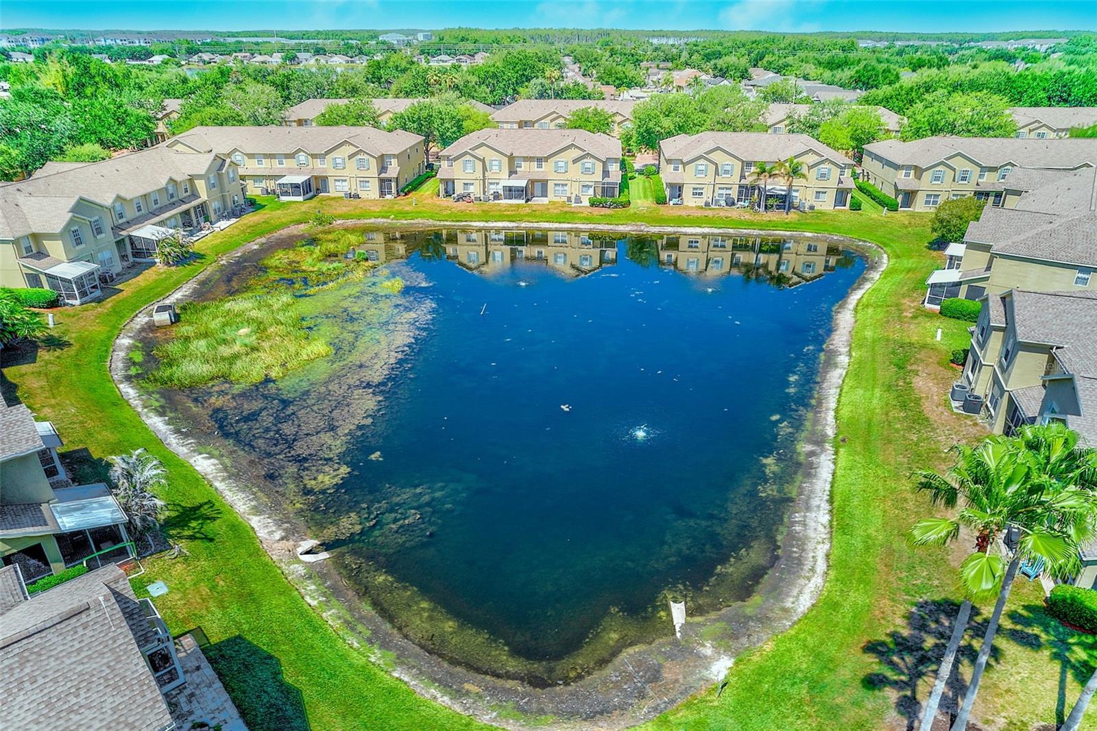 2923 LOCHCARRON DR, LAND O LAKES, FL, 34638